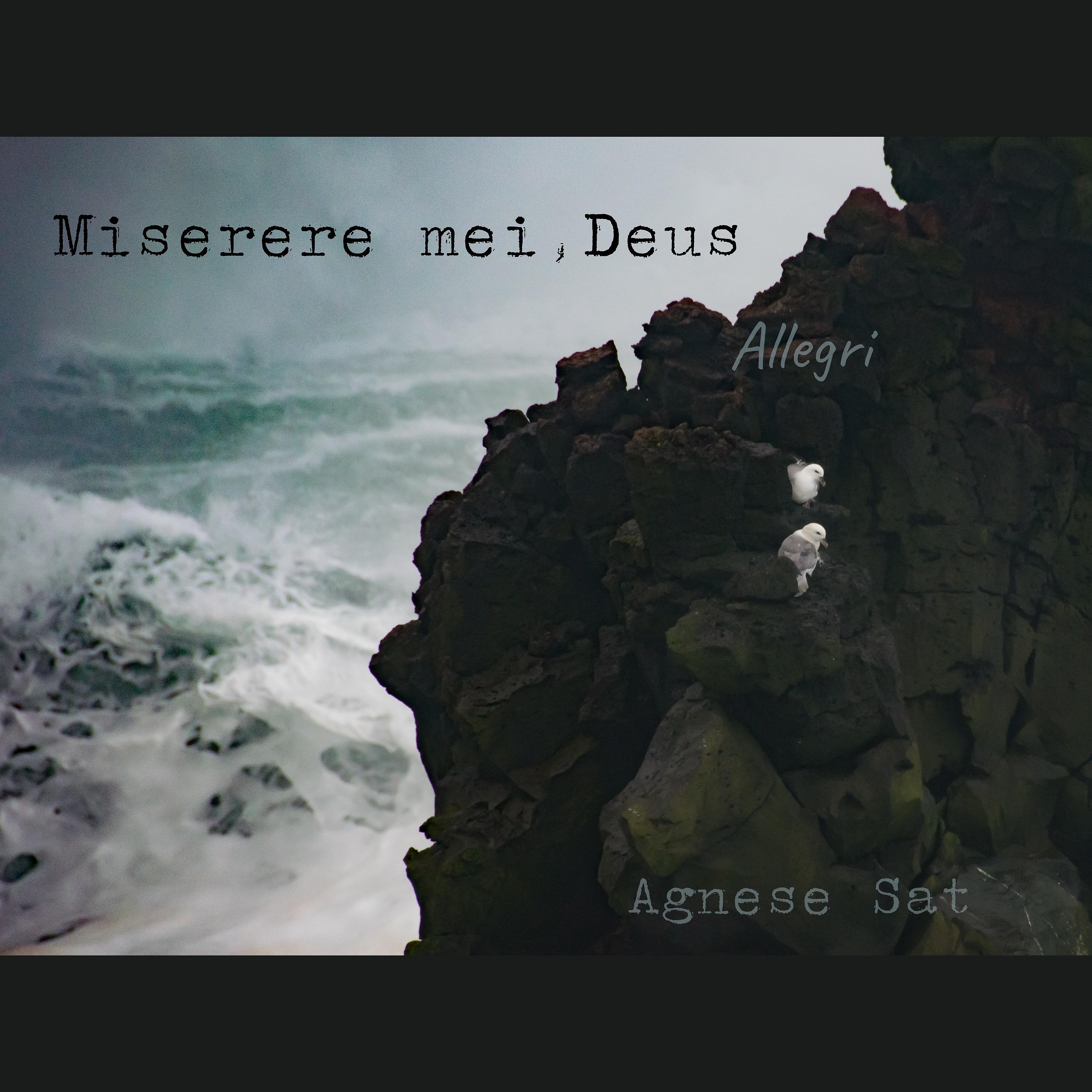 Постер альбома Miserere mei, Deus