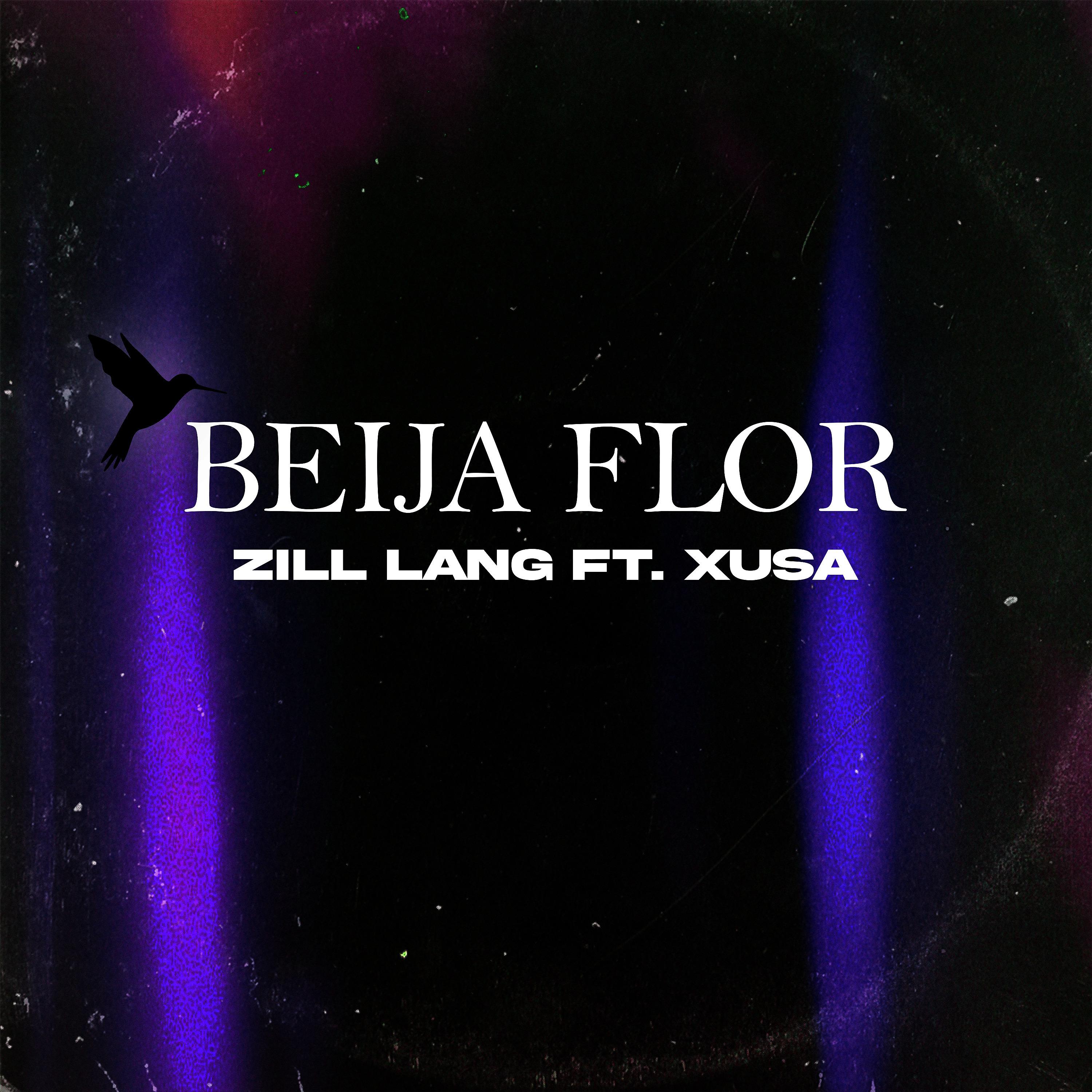 Постер альбома Beija-Flor