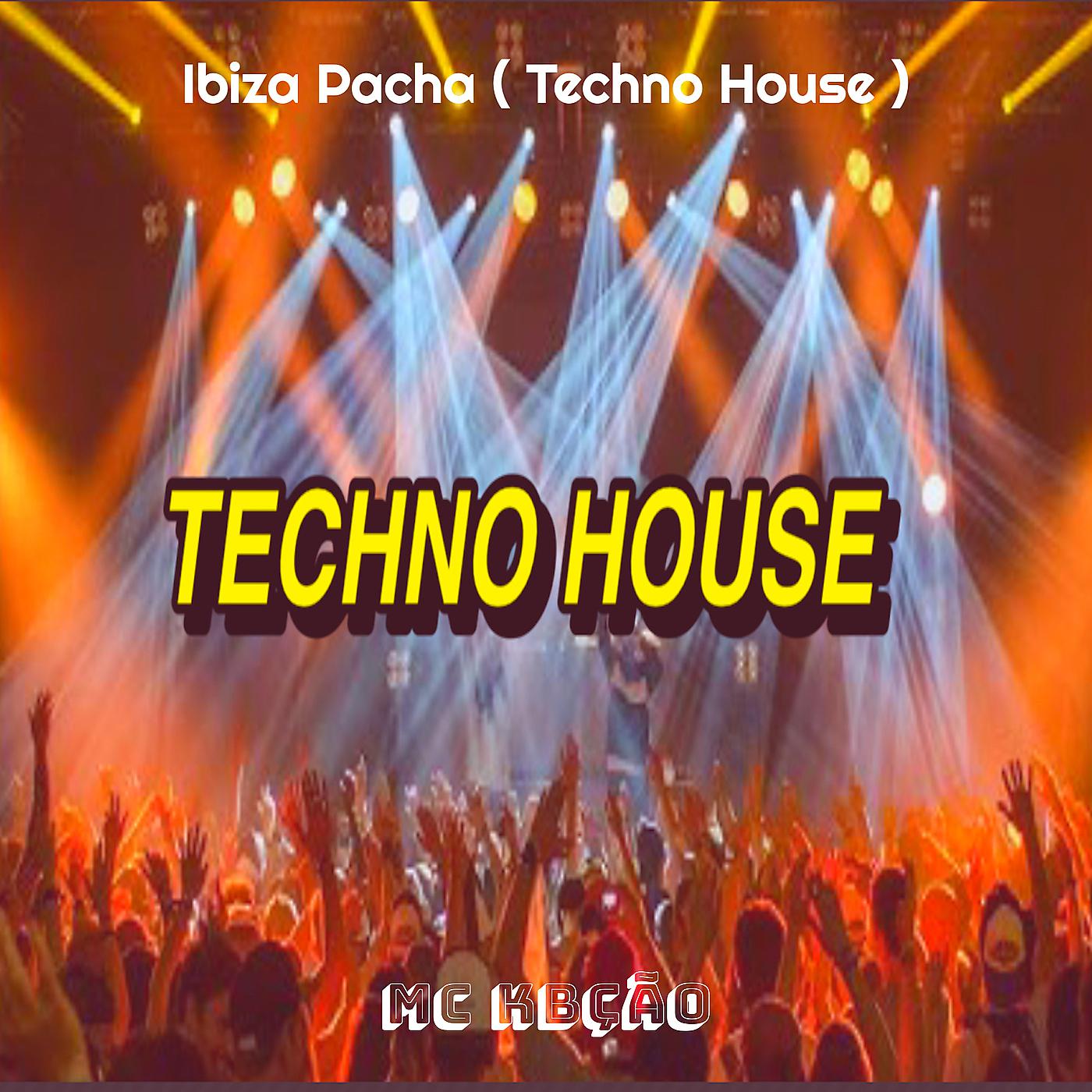 Постер альбома Ibiza Pacha (Techno House)