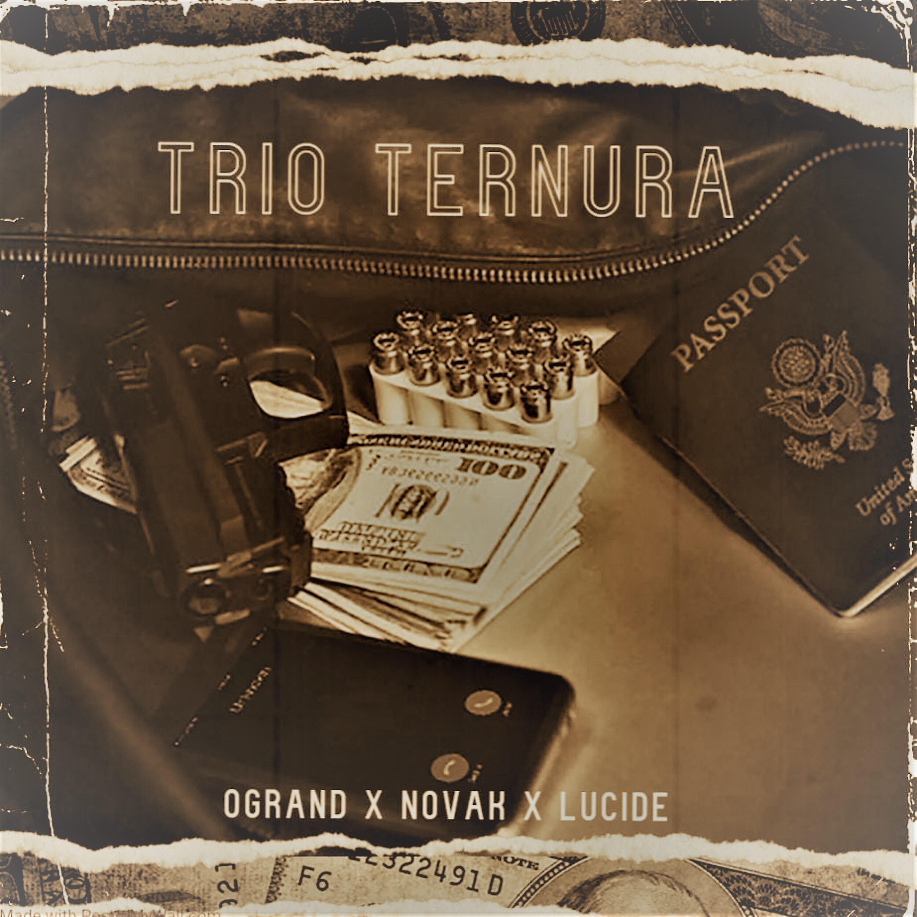 Постер альбома Trio Ternura