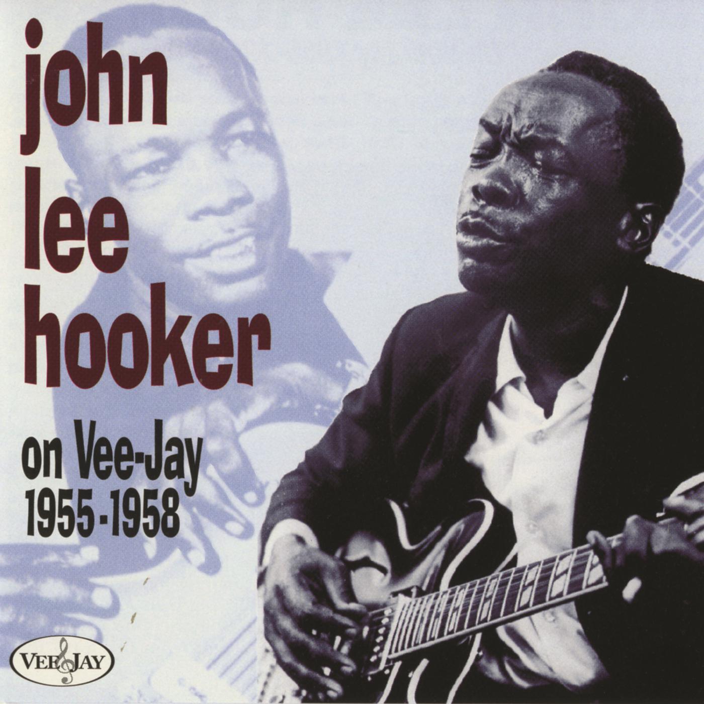 JOHN LEE HOOKER - Crawlin' Black Spider (aka Mean Old Snake)