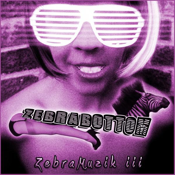 Постер альбома ZebraMuzik iii