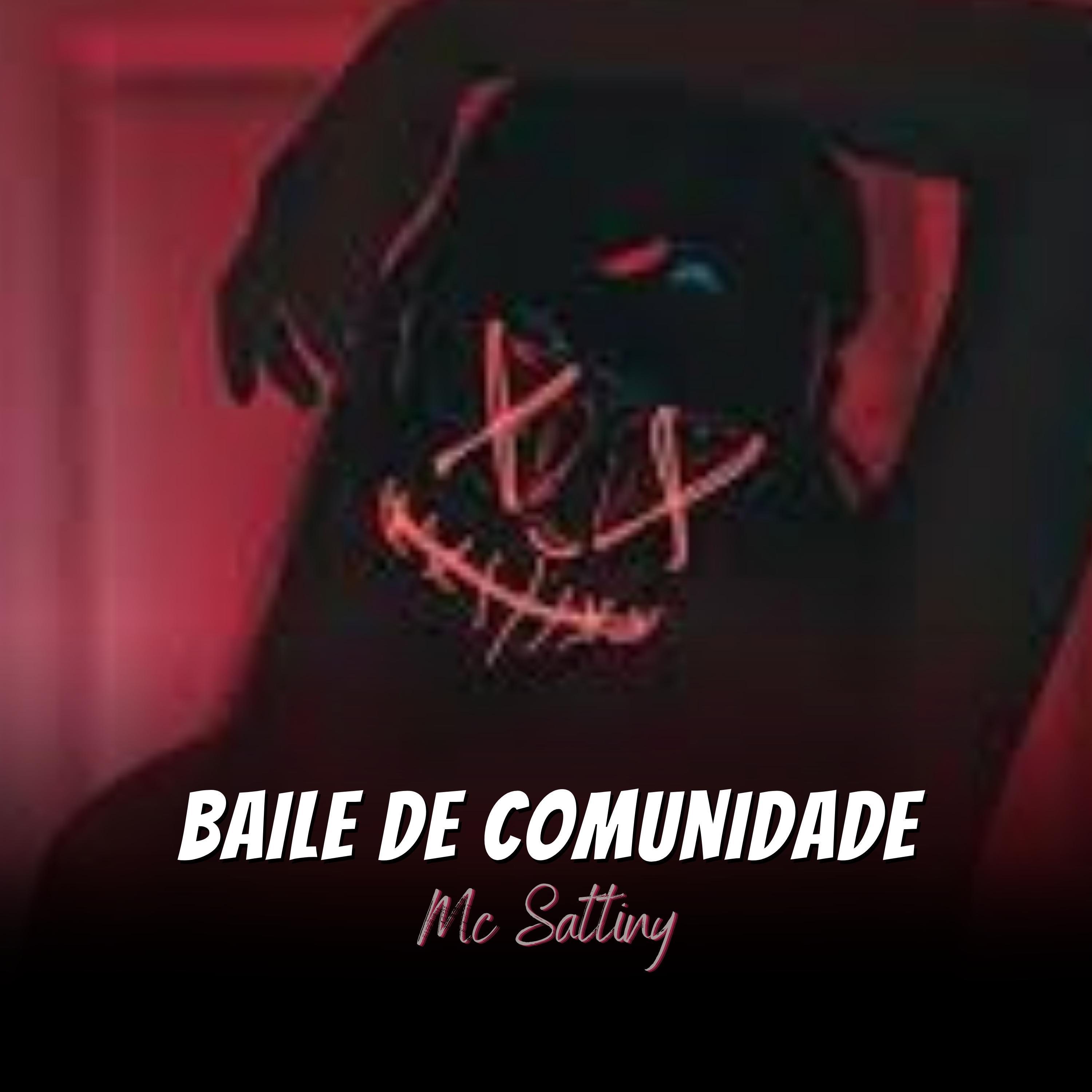 Постер альбома Baile da Comunidade