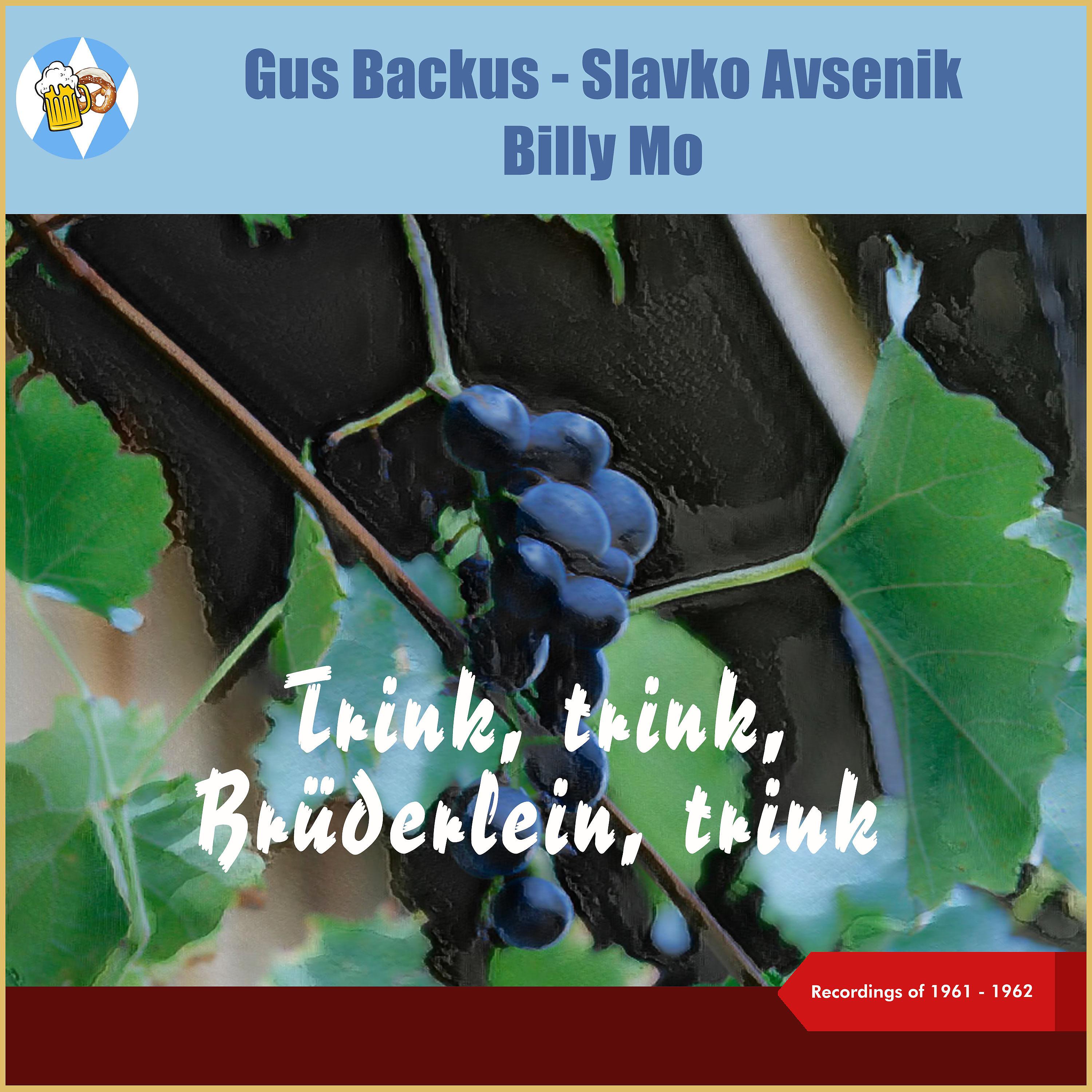 Постер альбома Trink, trink, Brüderlein, trink