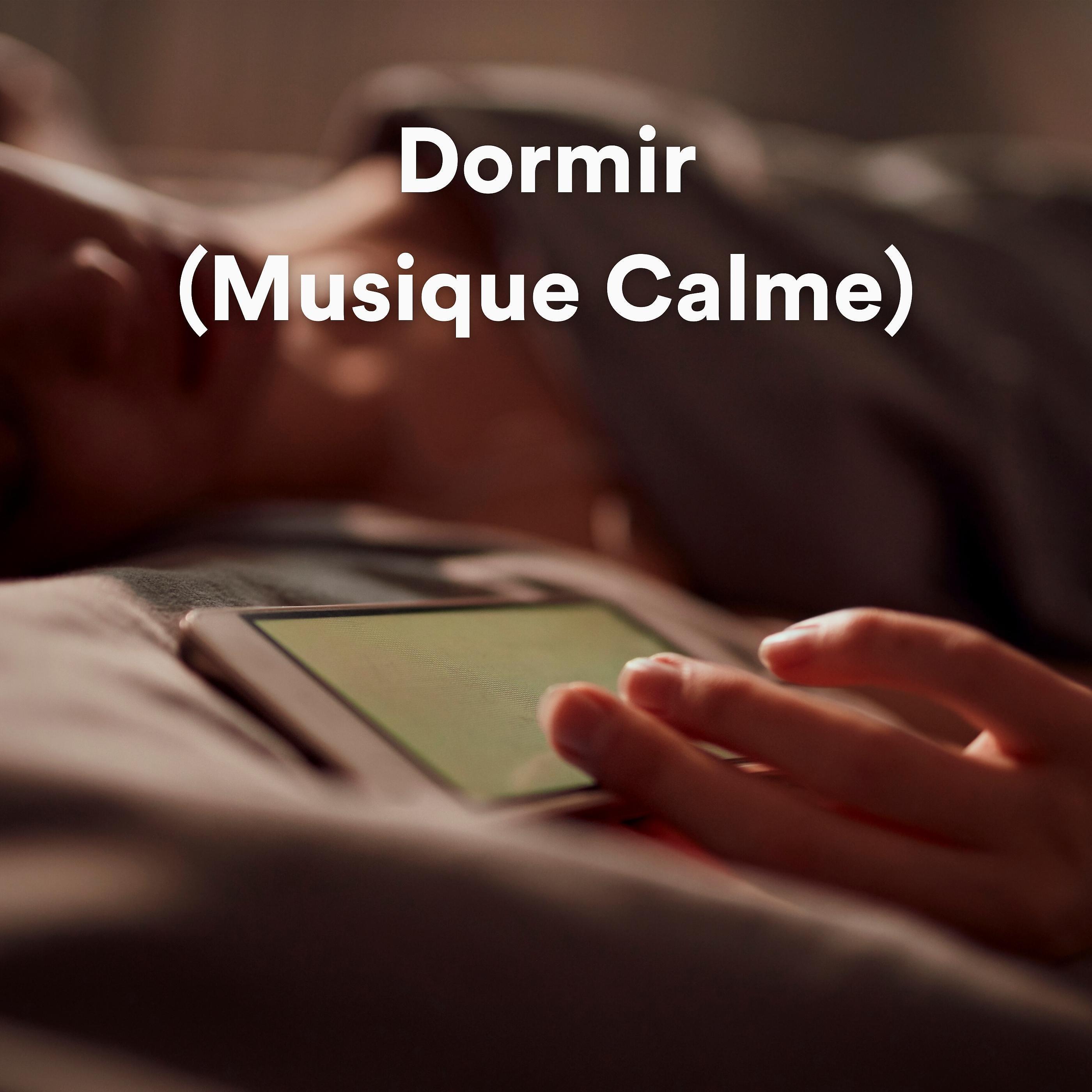 Постер альбома Dormir (Musique Calme)