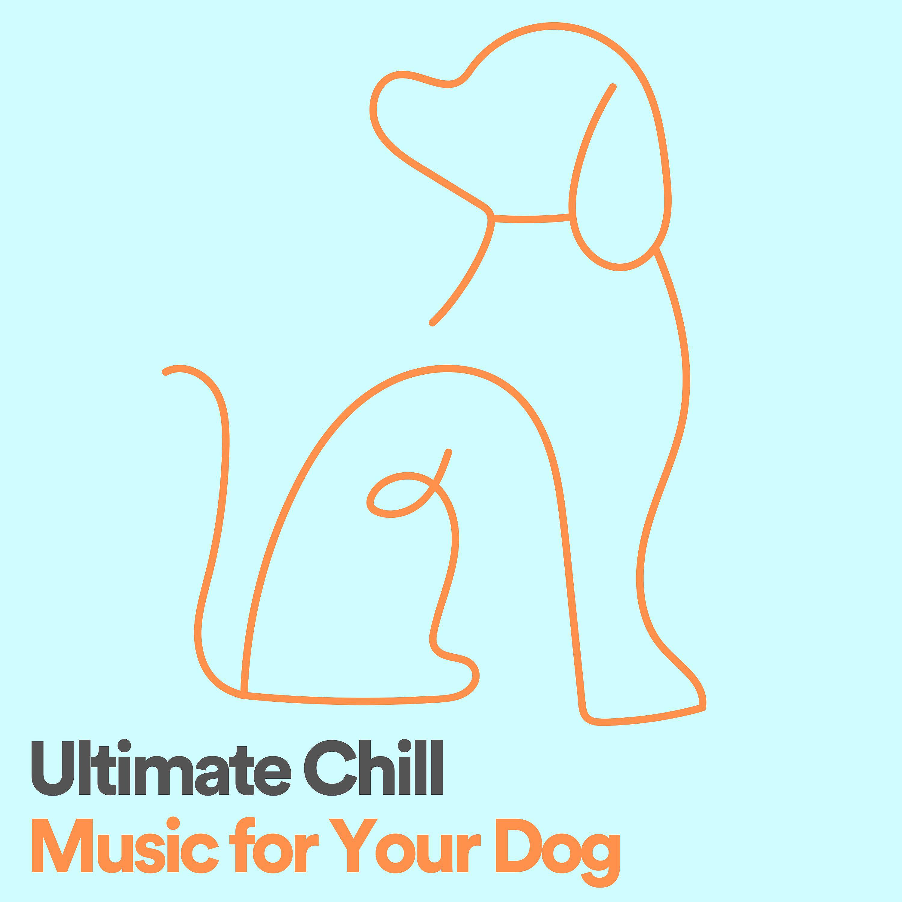 Постер альбома Ultimate Chill Music for Your Dog