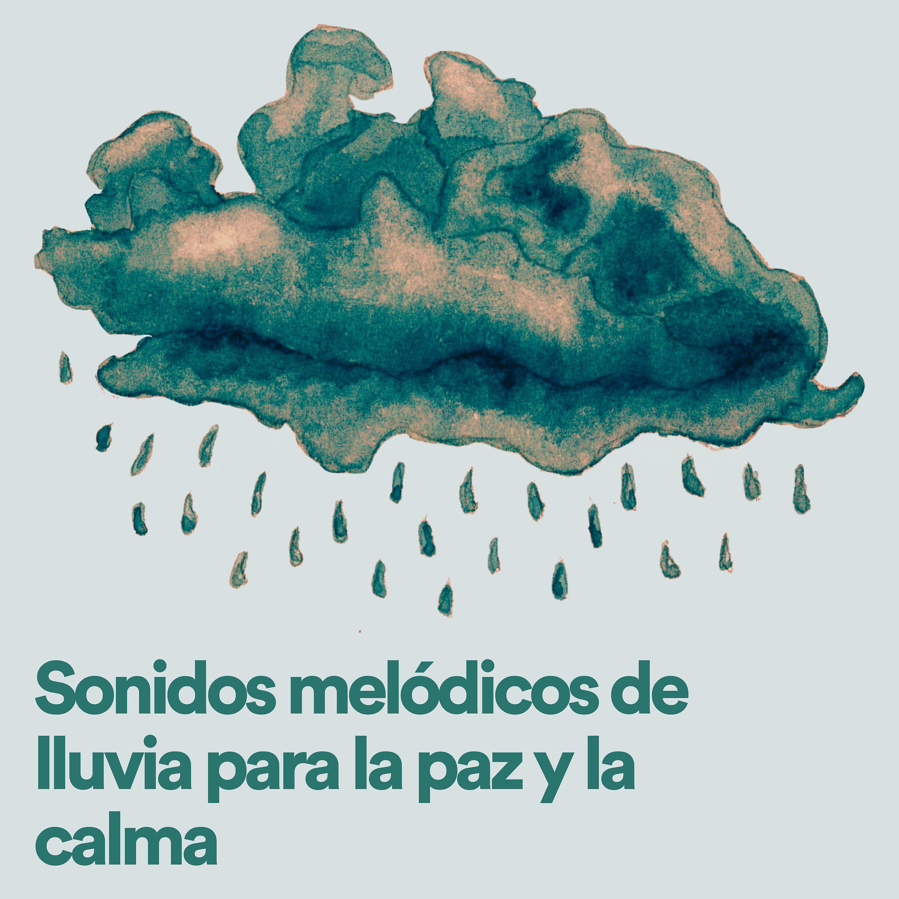 Постер альбома Sonidos melódicos de lluvia para la paz y la calma