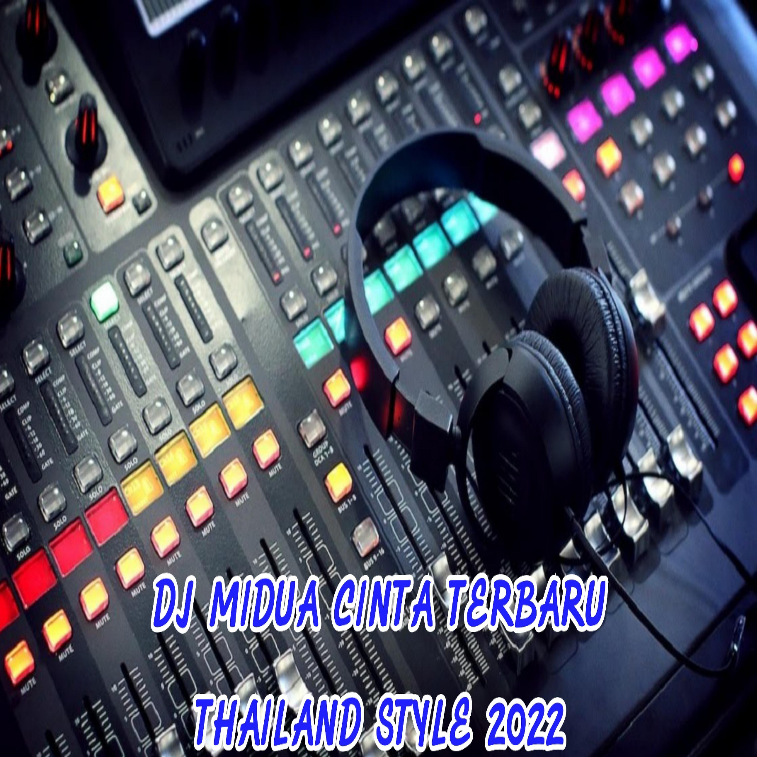 Постер альбома DJ MIDUA CINTA TERBARU THAILAND STYLE 2022