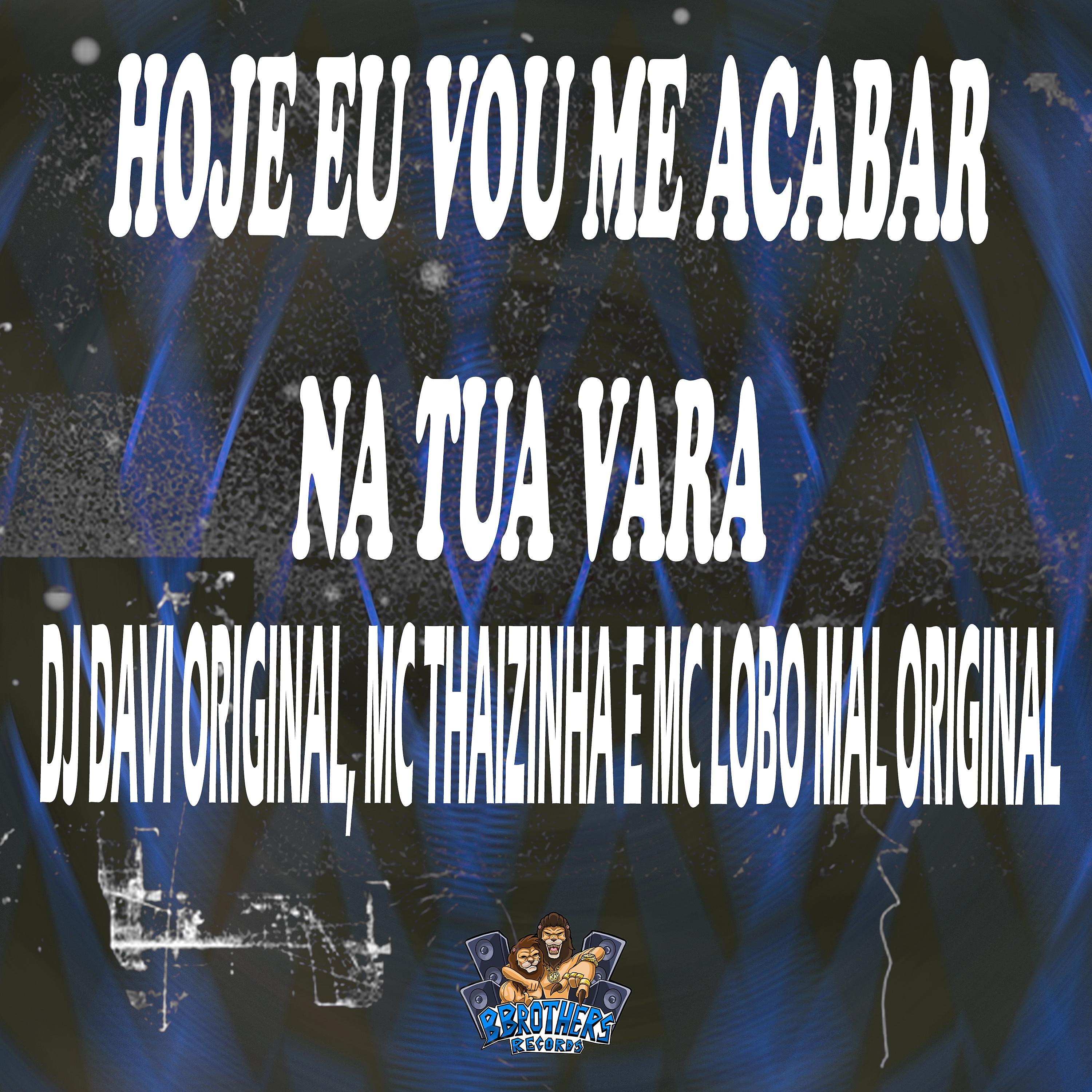 Постер альбома Hoje Eu Vou Me Acabar na Tua Vara
