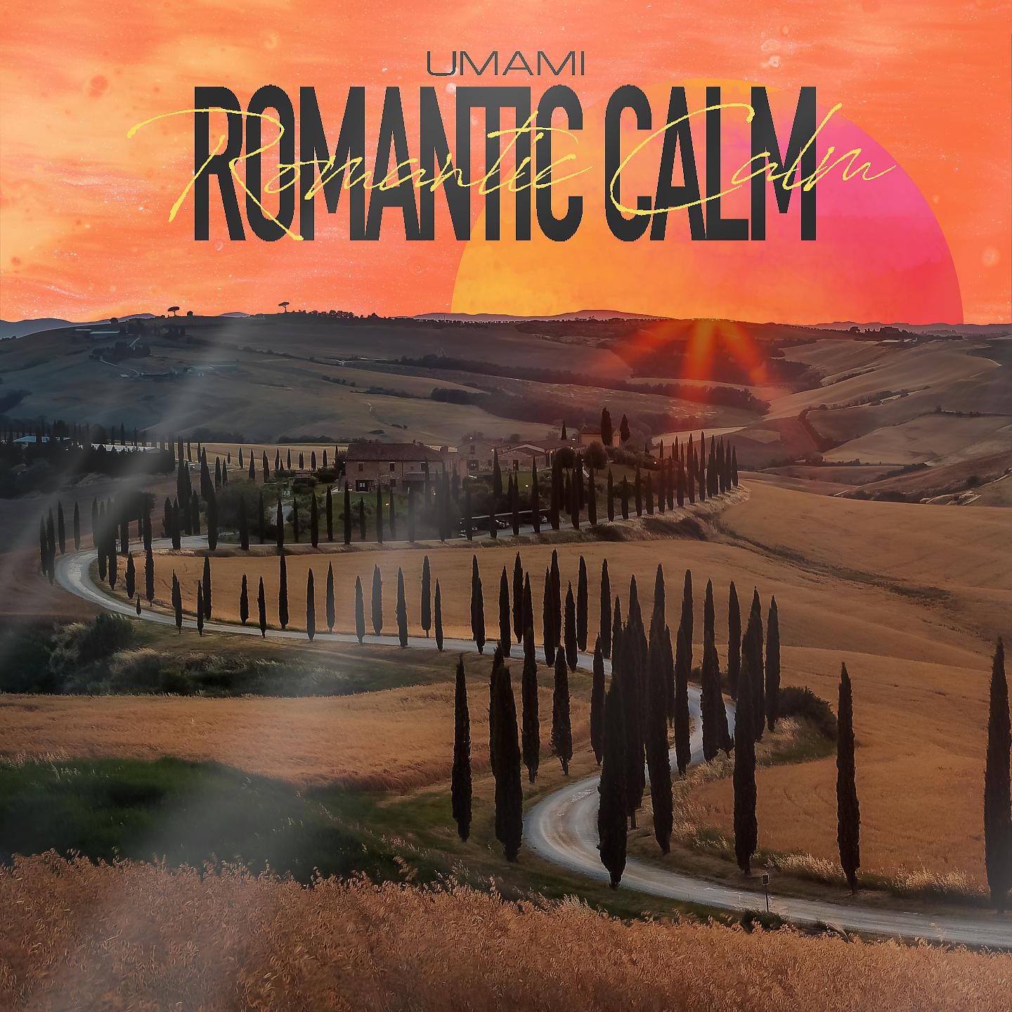 Постер альбома Romantic Calm