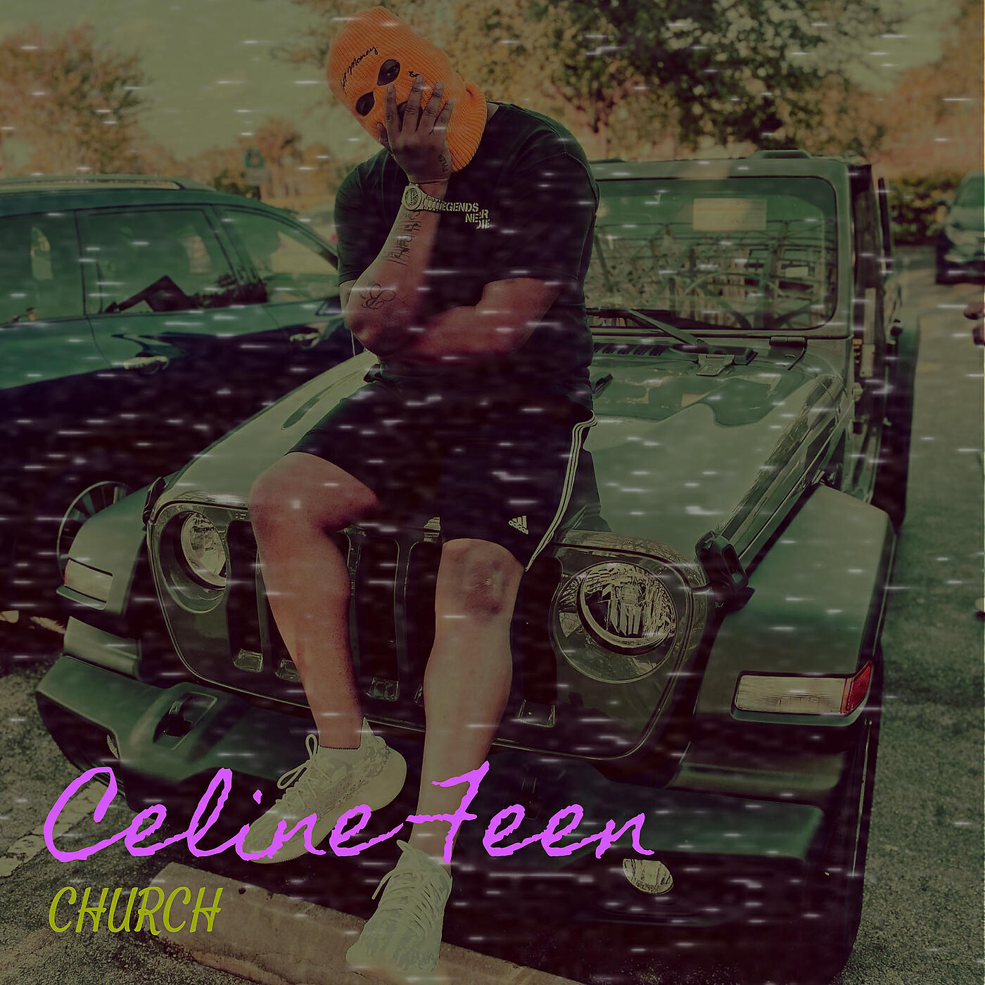 Постер альбома Celine Feen