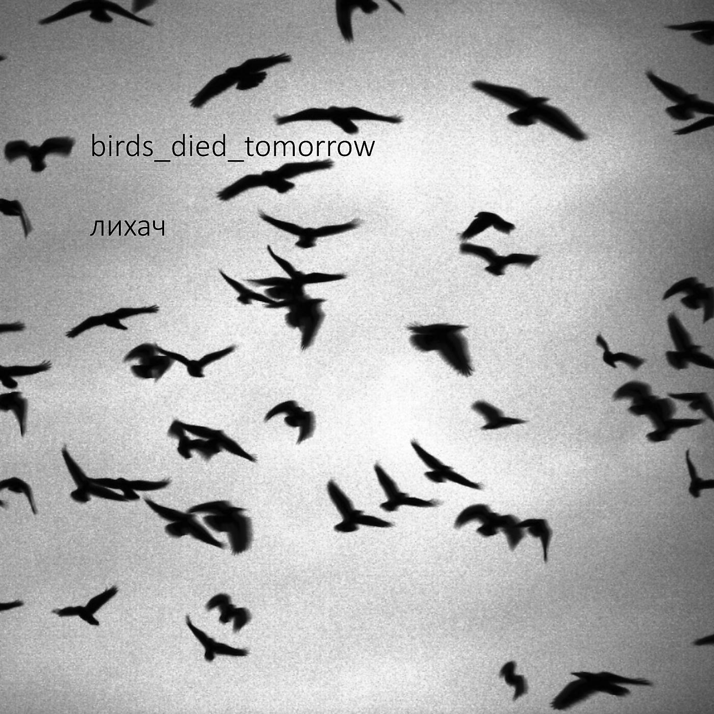 Постер альбома Birds Died Tomorrow