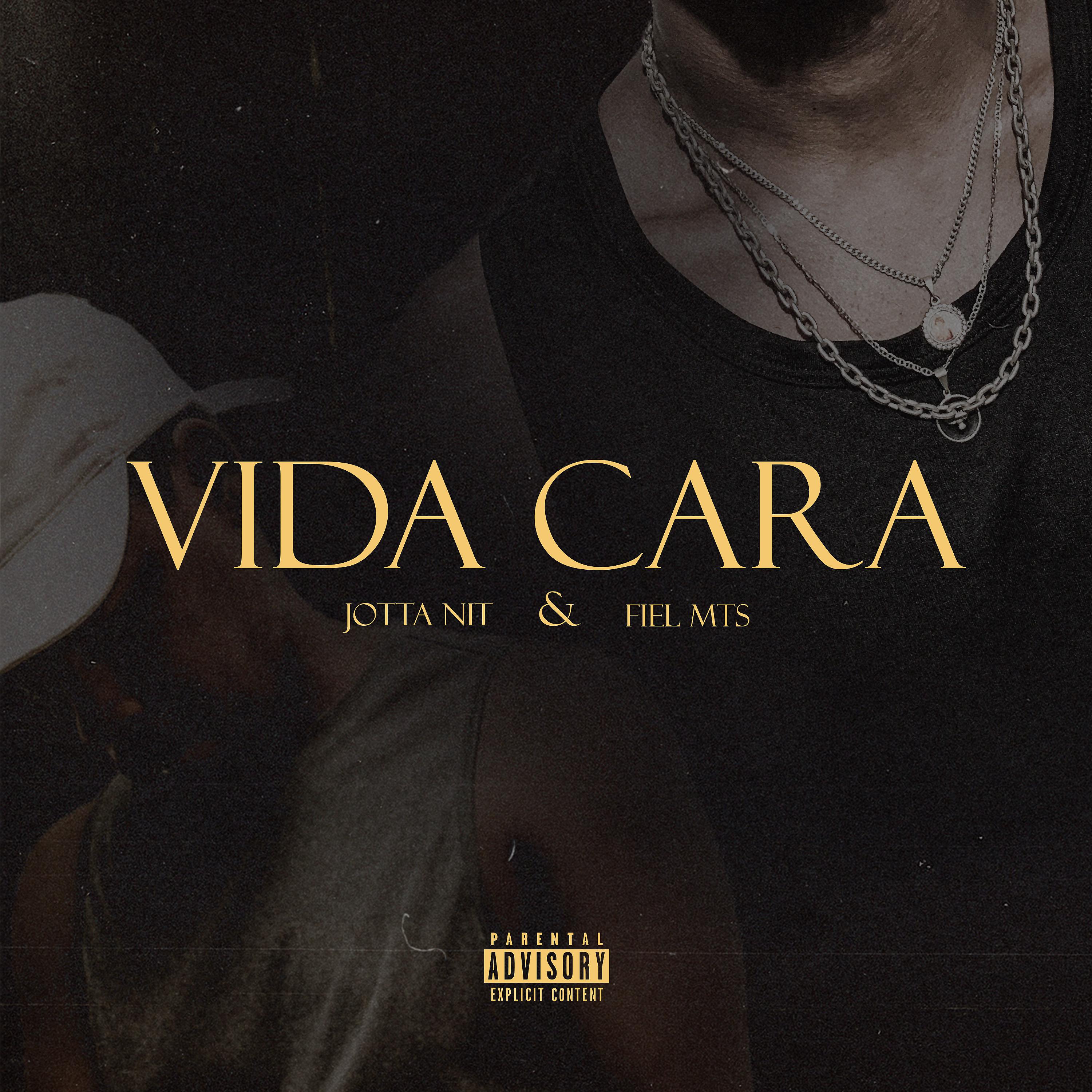 Постер альбома Vida Cara
