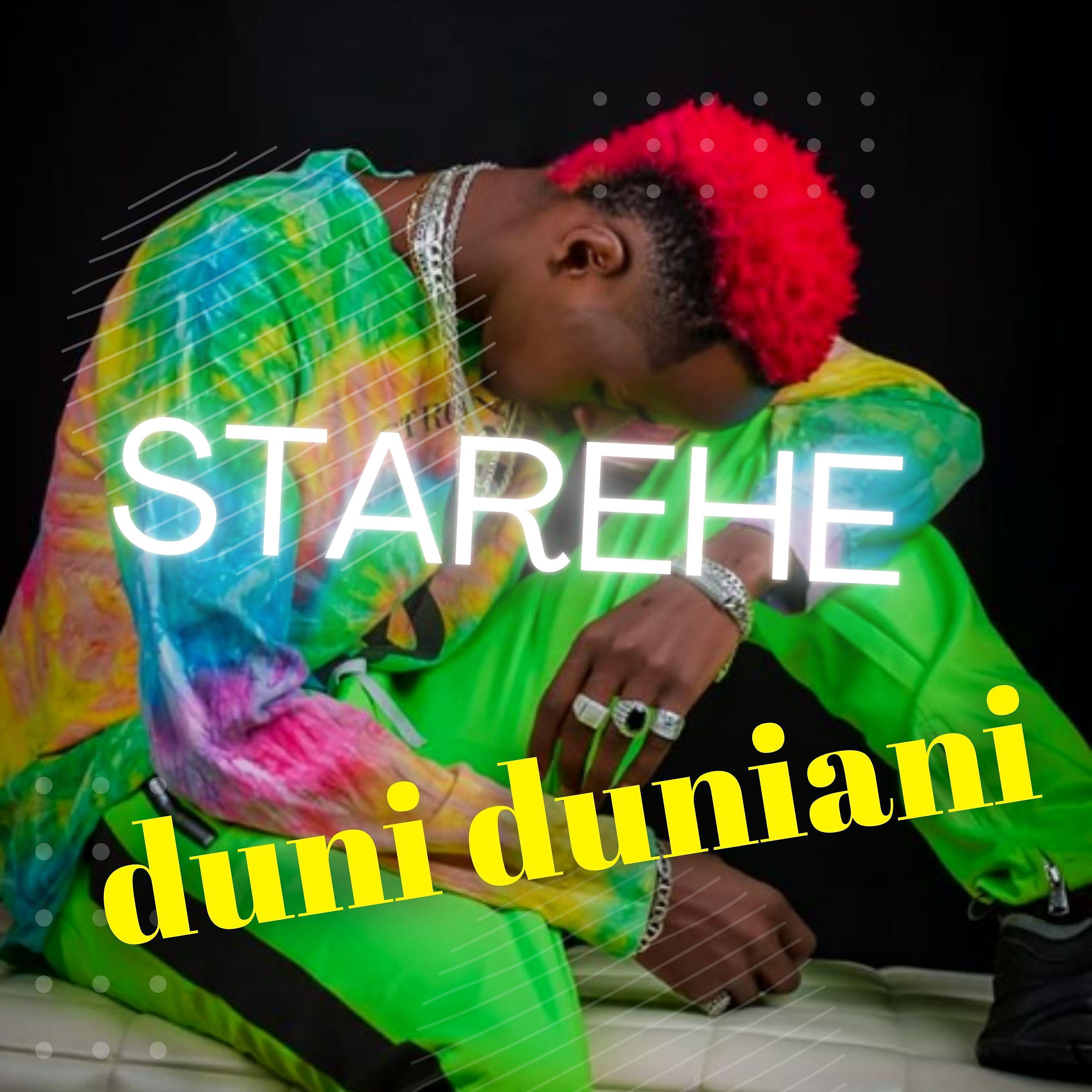 Постер альбома Starehe Duni