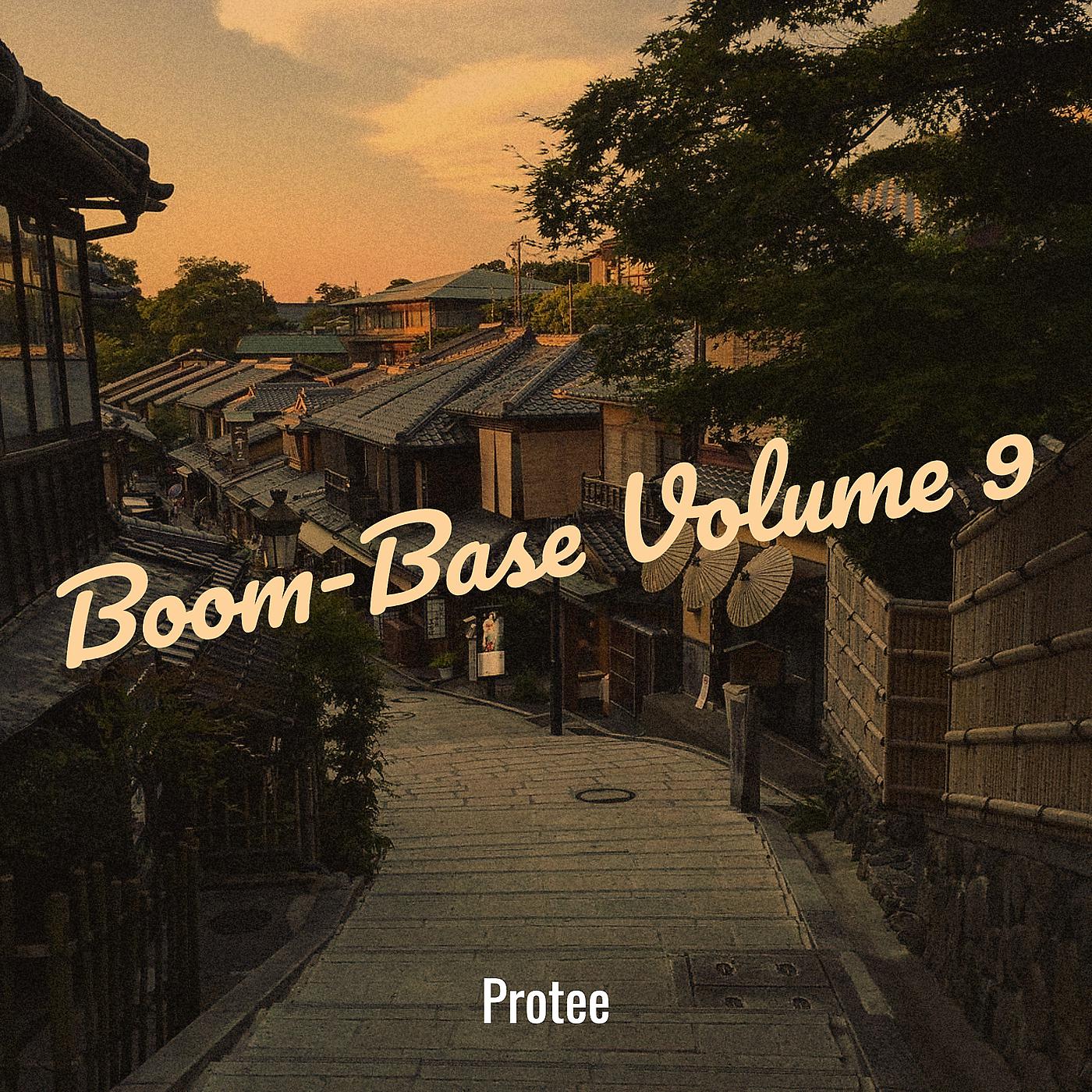 Постер альбома Boom-Base Volume 9