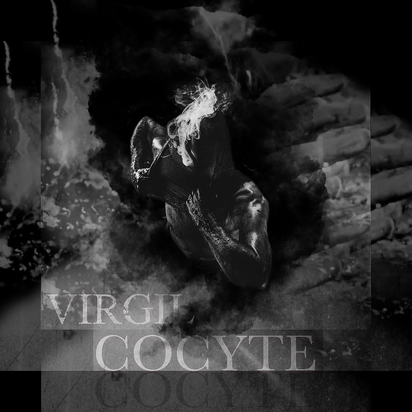 Постер альбома Cocyte
