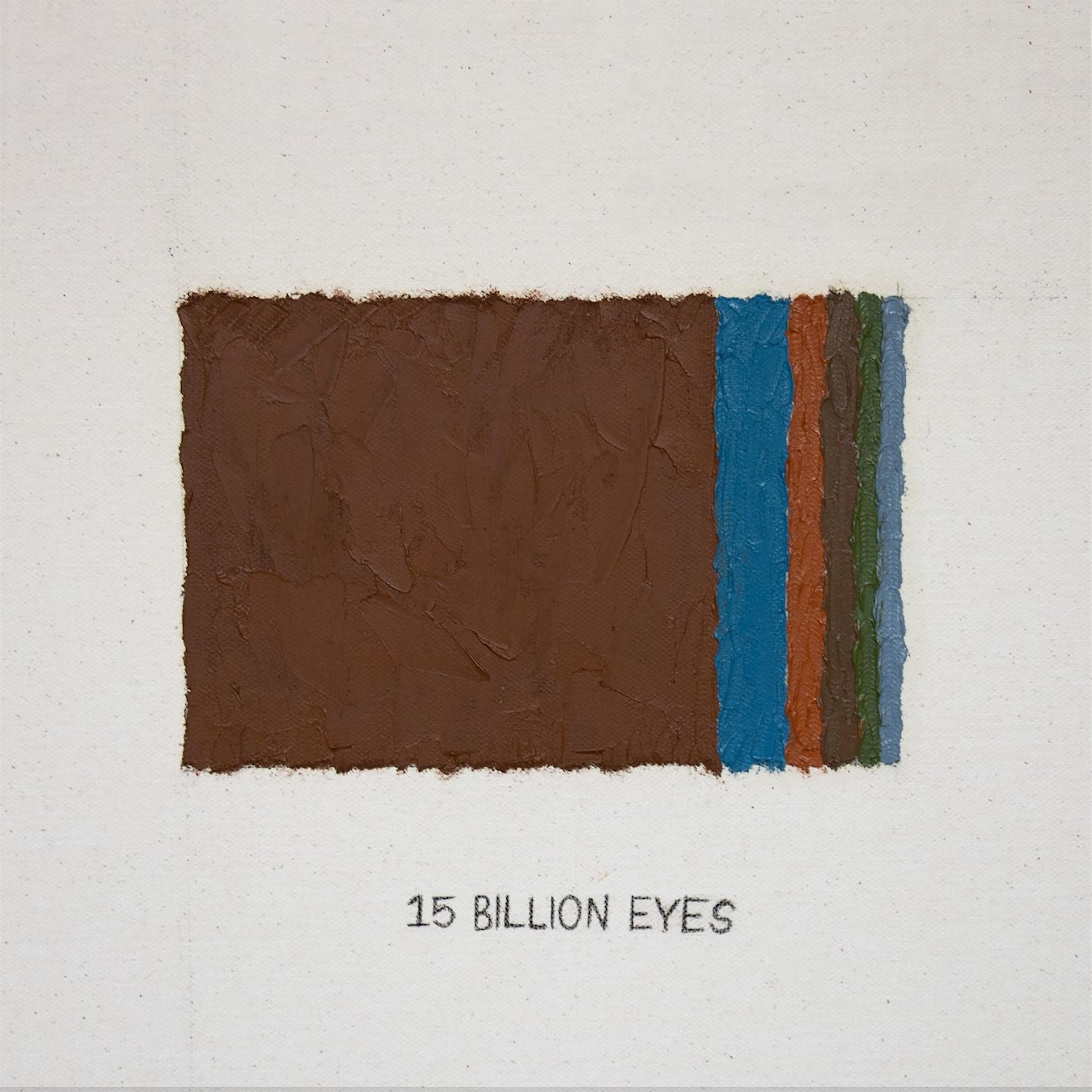 Постер альбома 15 Billion Eyes