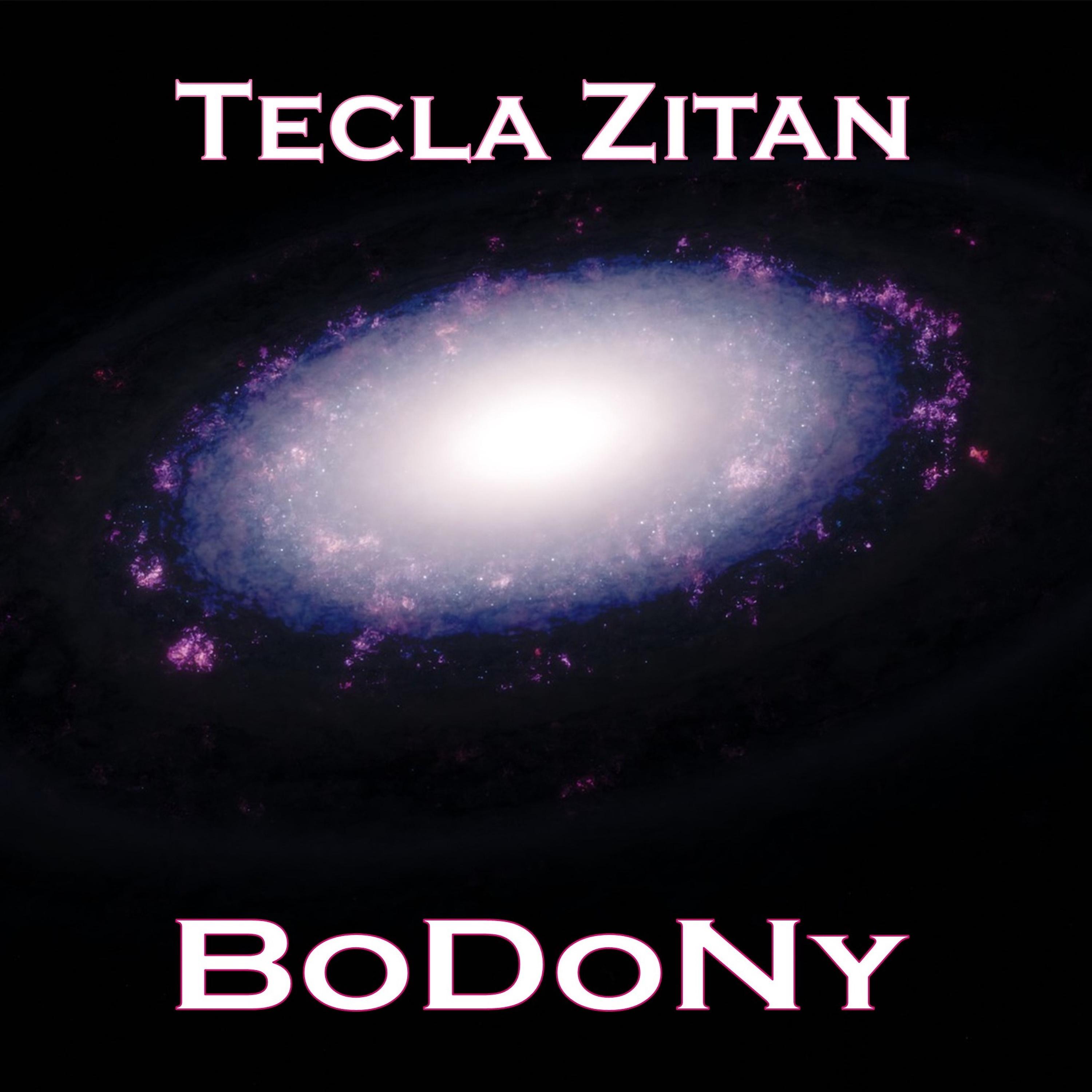 Постер альбома Bodony