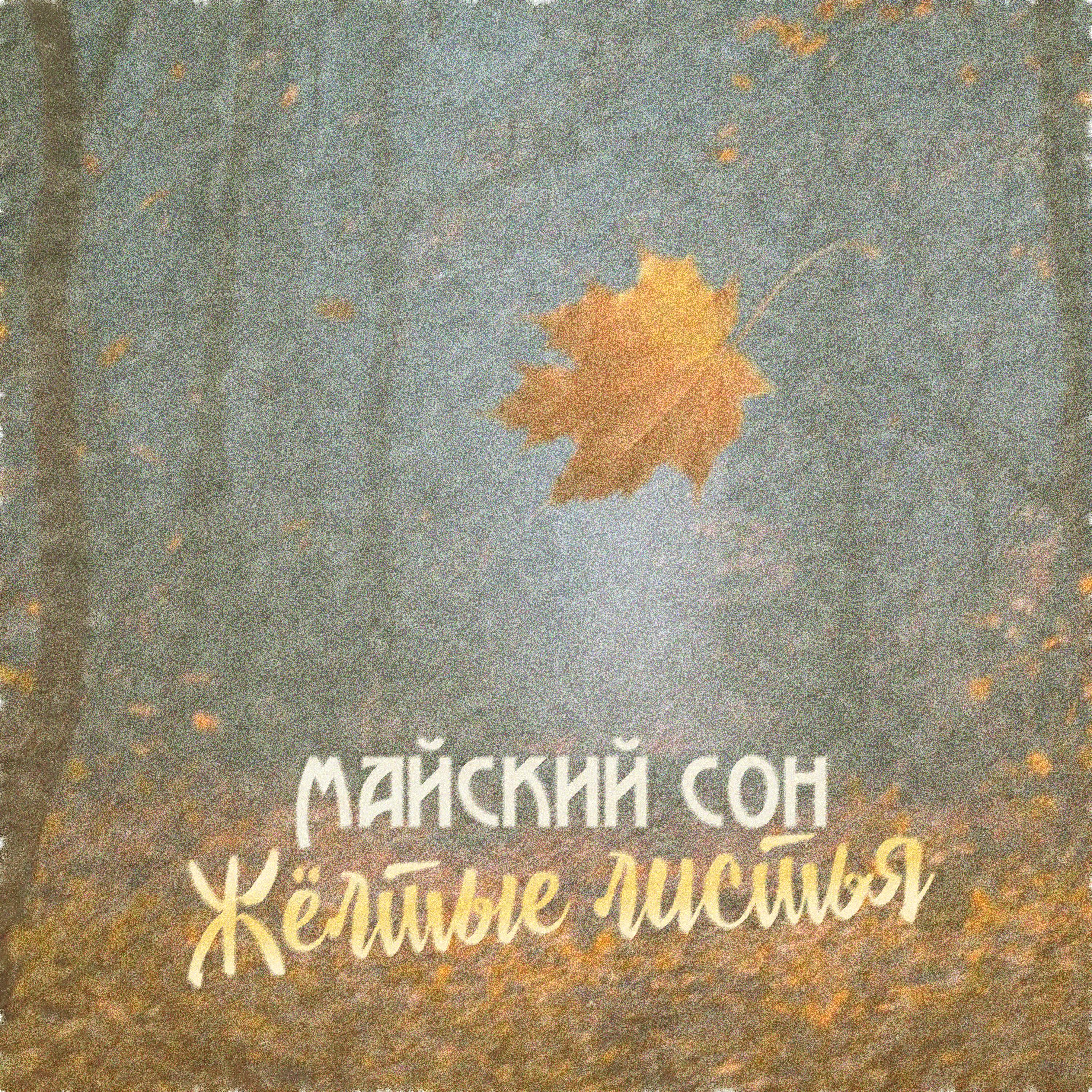 Постер альбома Жёлтые листья