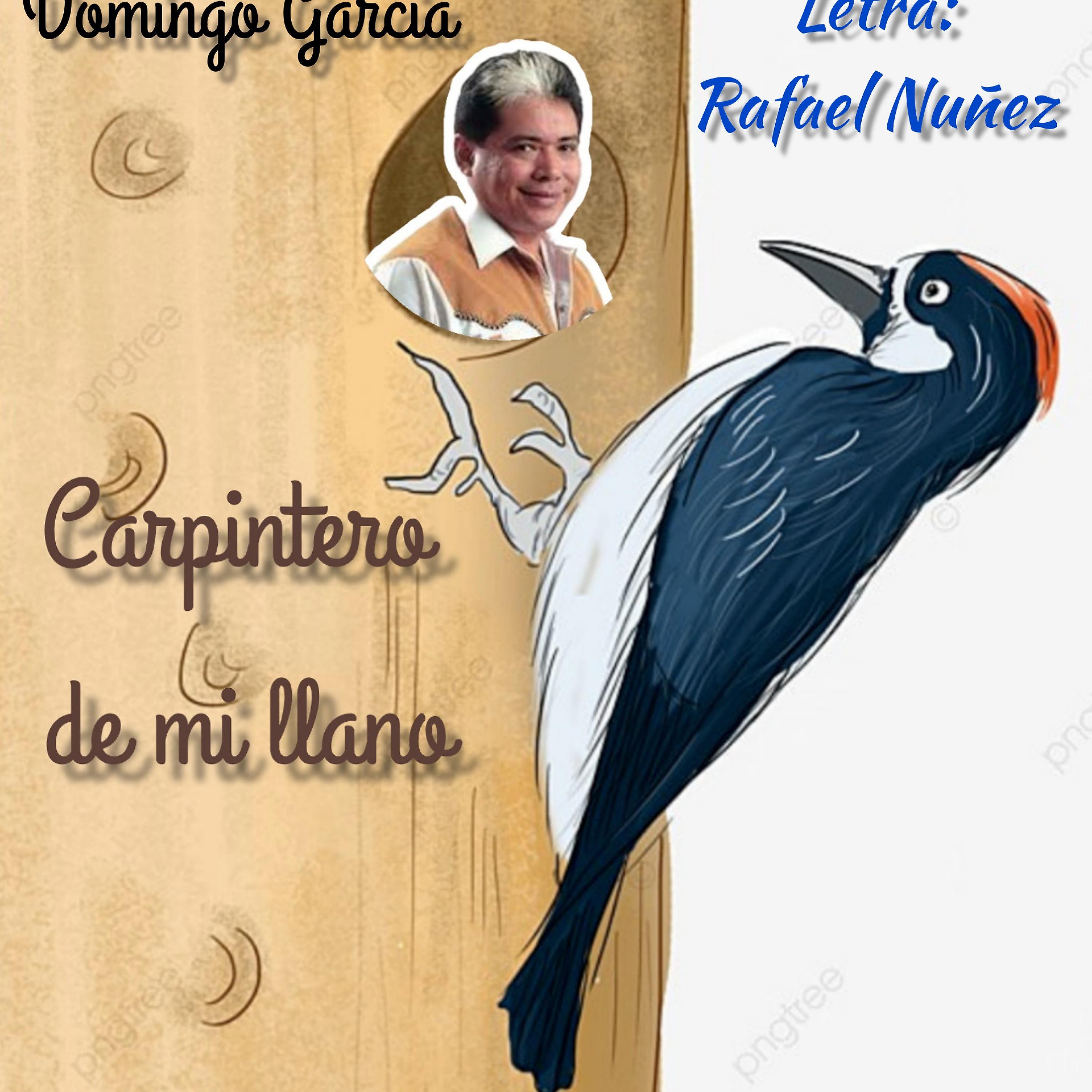 Постер альбома Carpintero de Mí Llano