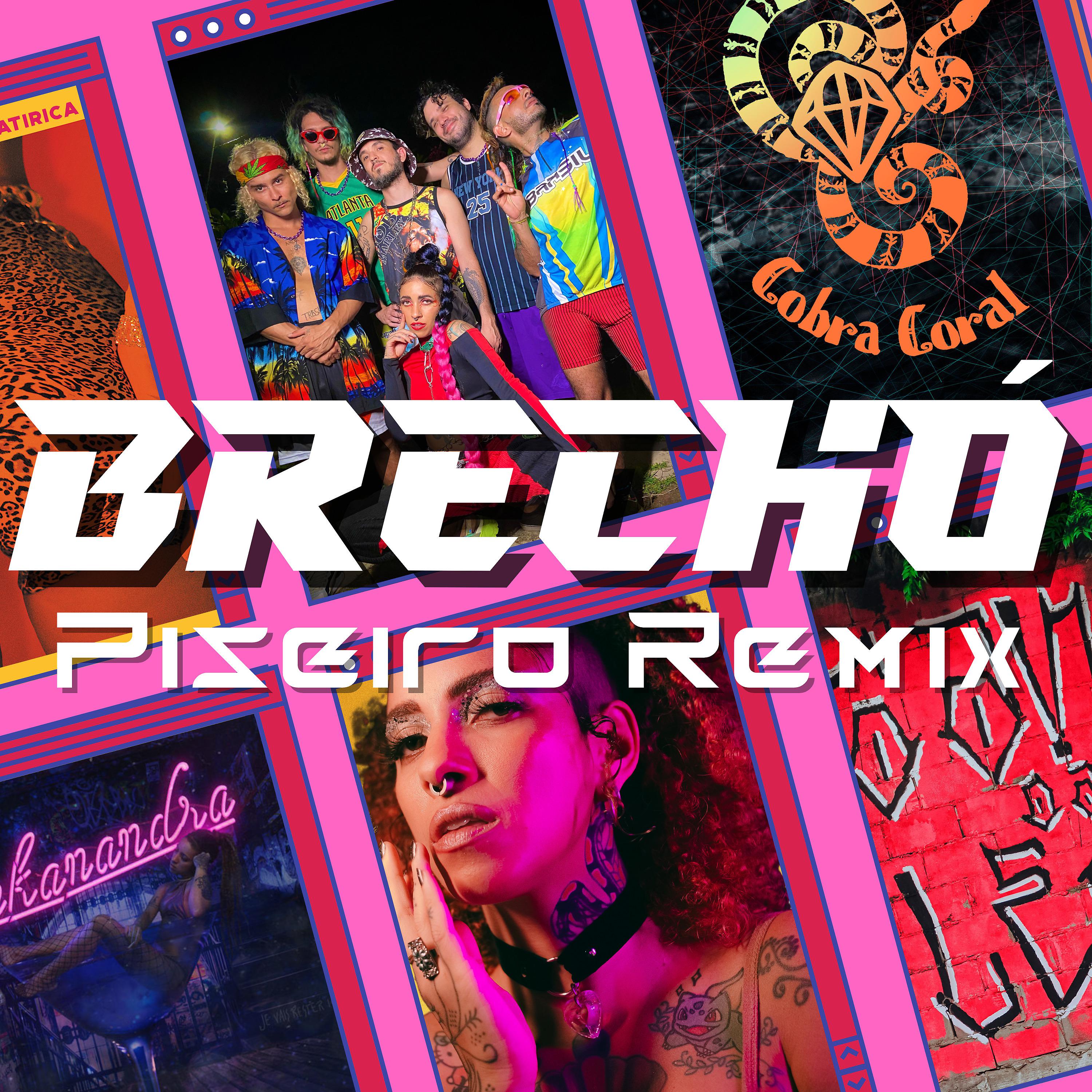 Постер альбома Brechó (Piseiro Remix)