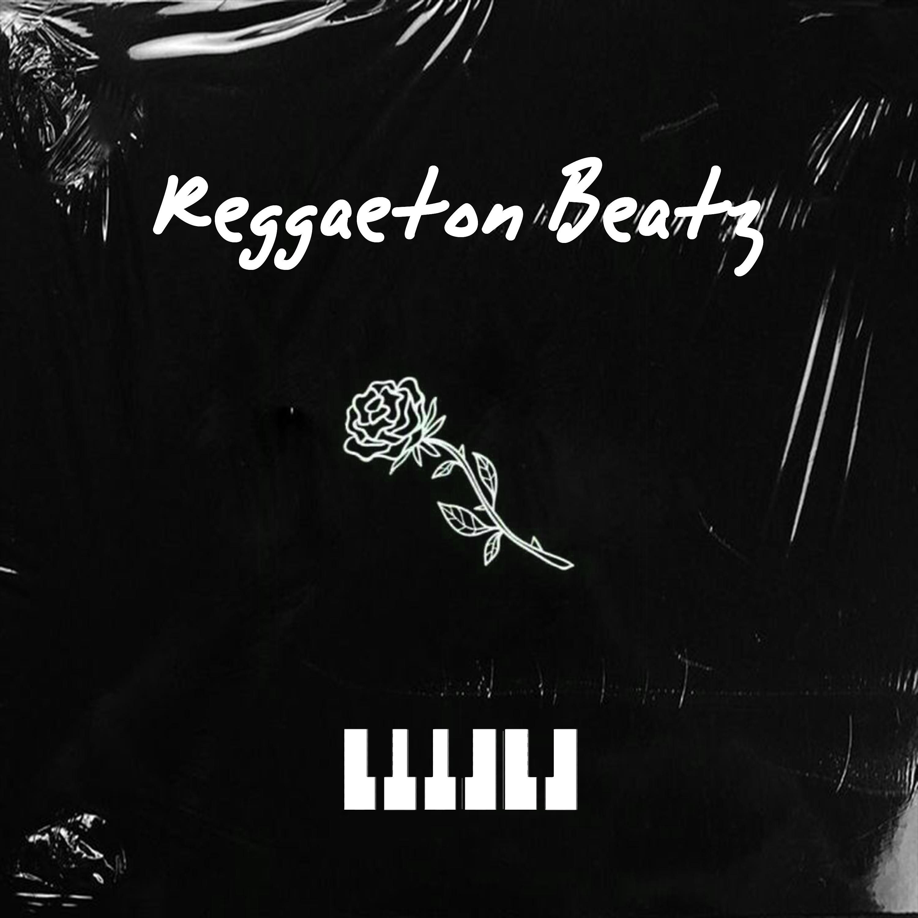 Постер альбома Reggaeton Beatz
