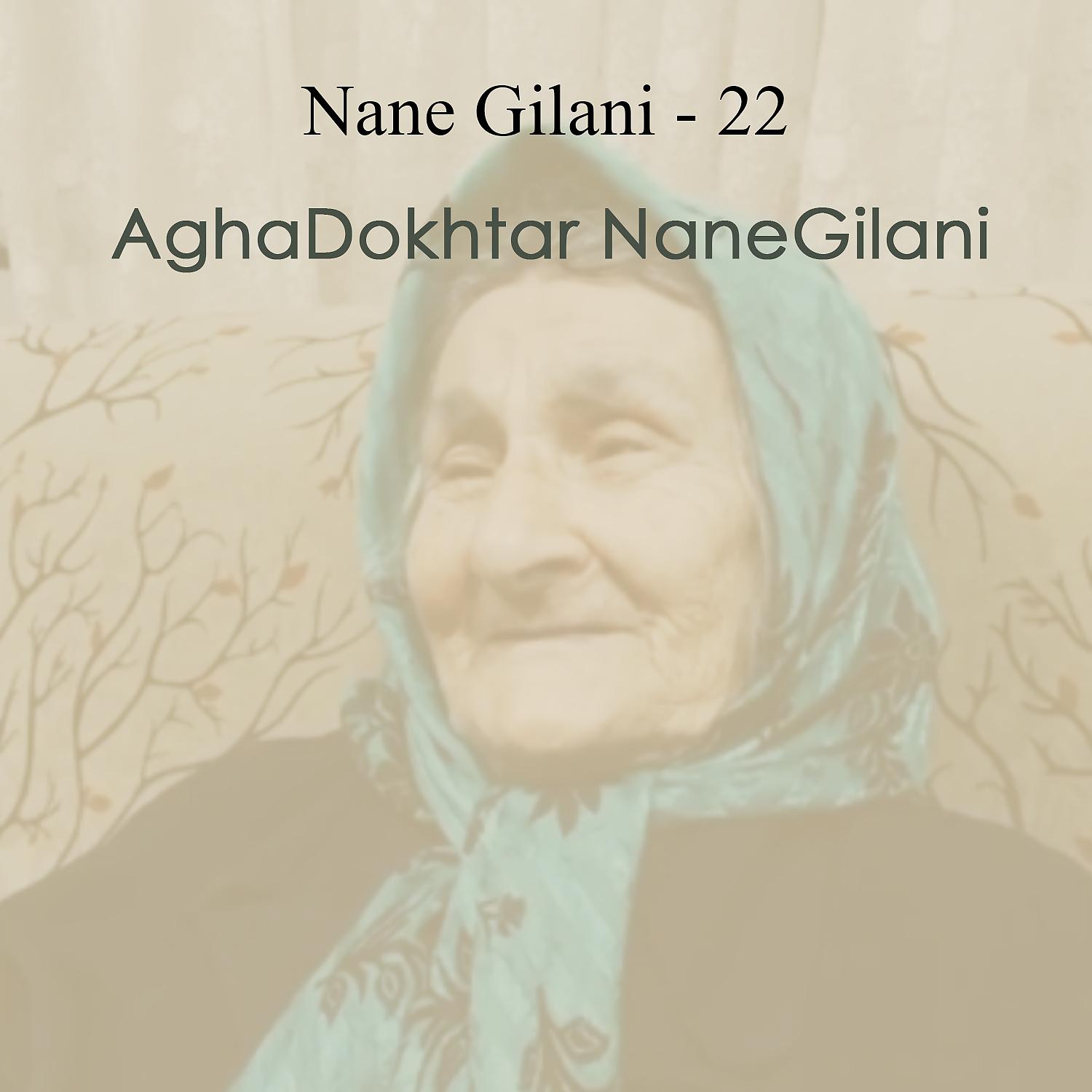 Постер альбома Nane Gilani - 22
