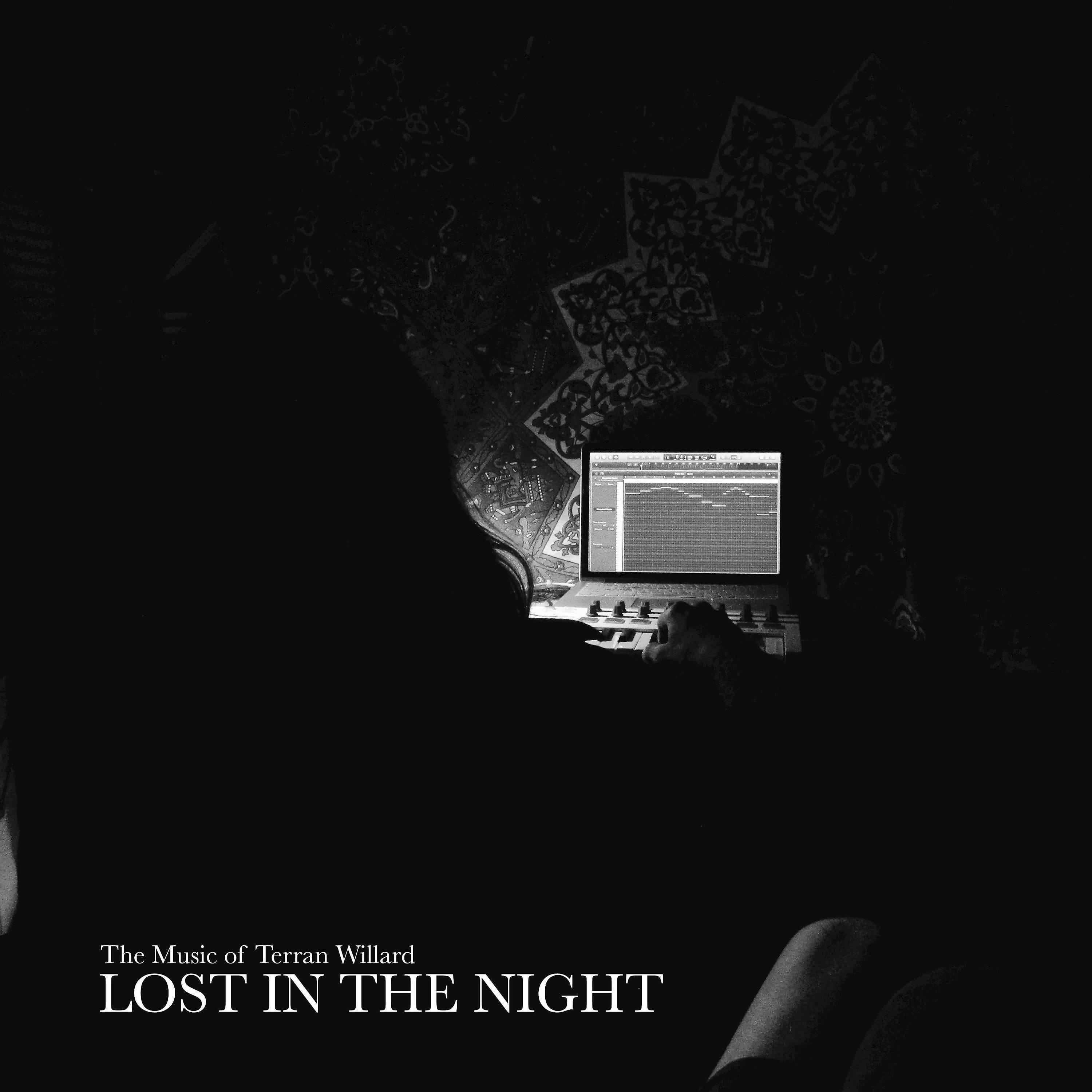 Постер альбома Lost in the Night
