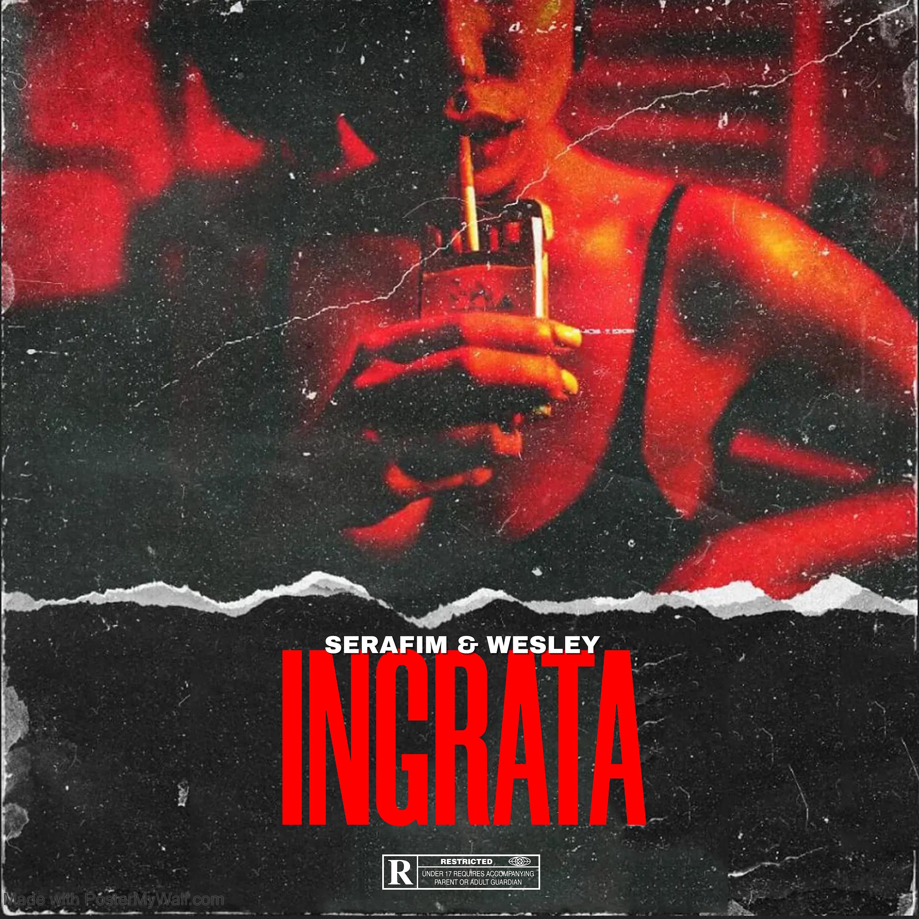 Постер альбома Ingrata