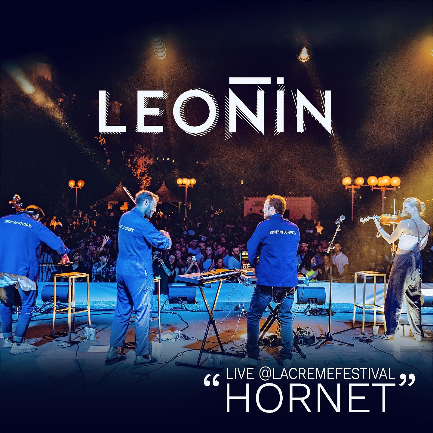 Постер альбома Hornet