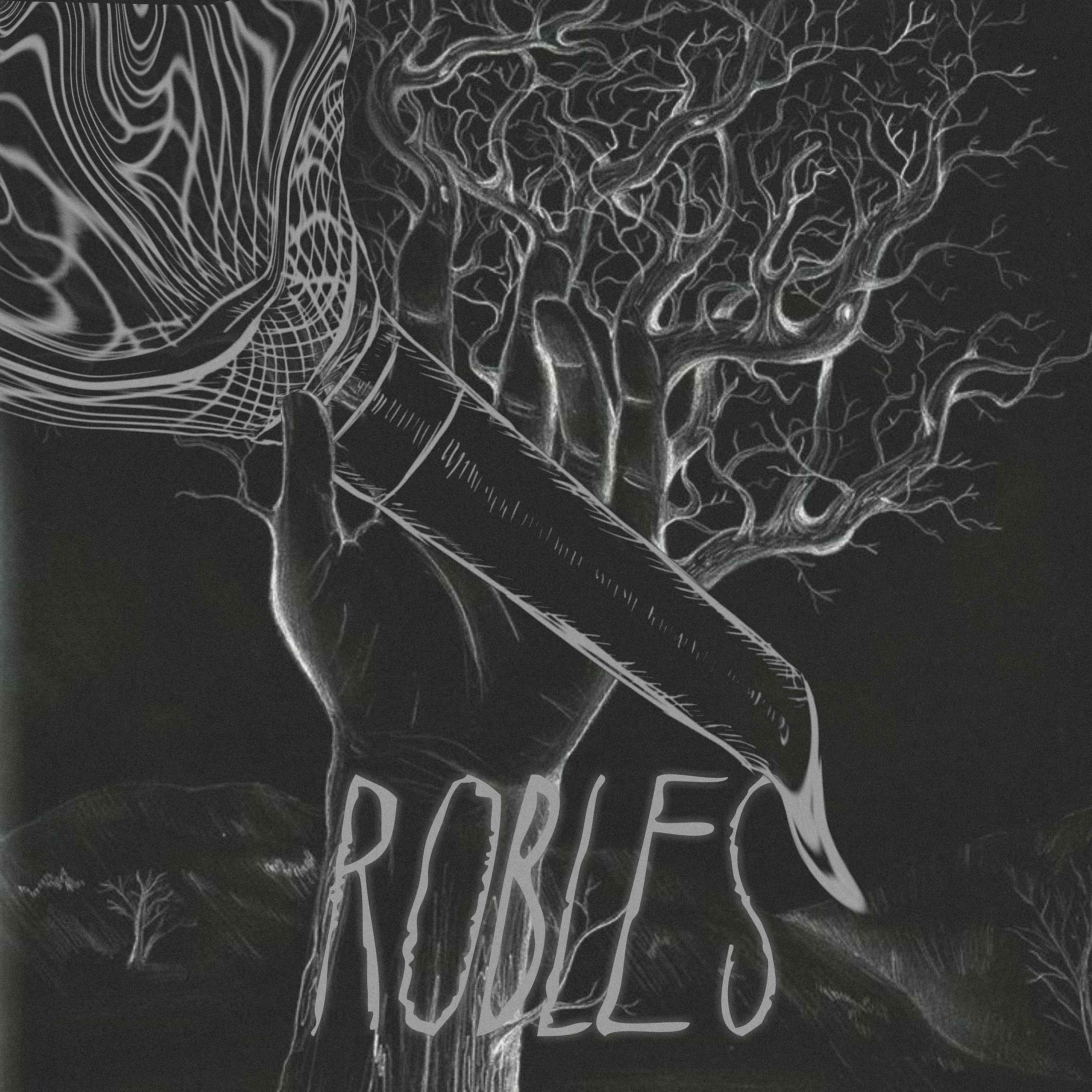 Постер альбома Robles