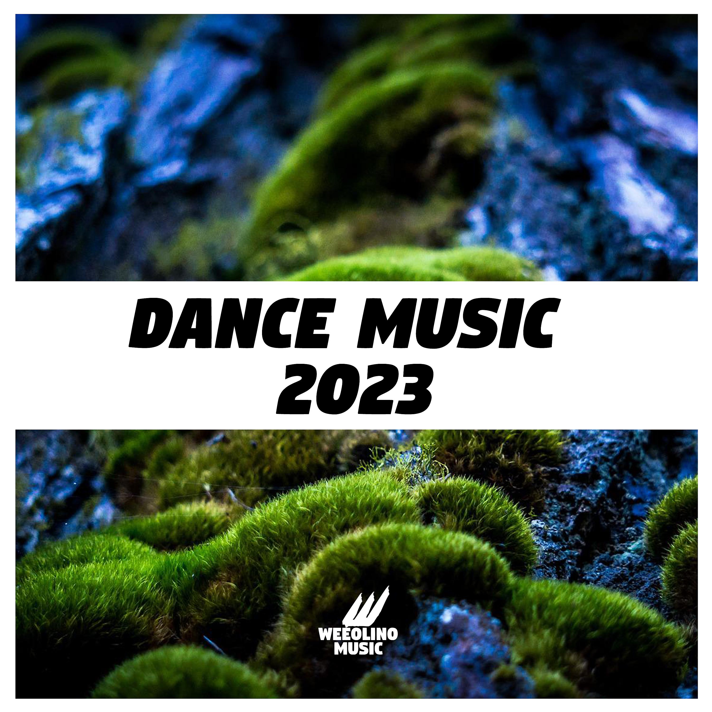 Постер альбома Dance Music 2023