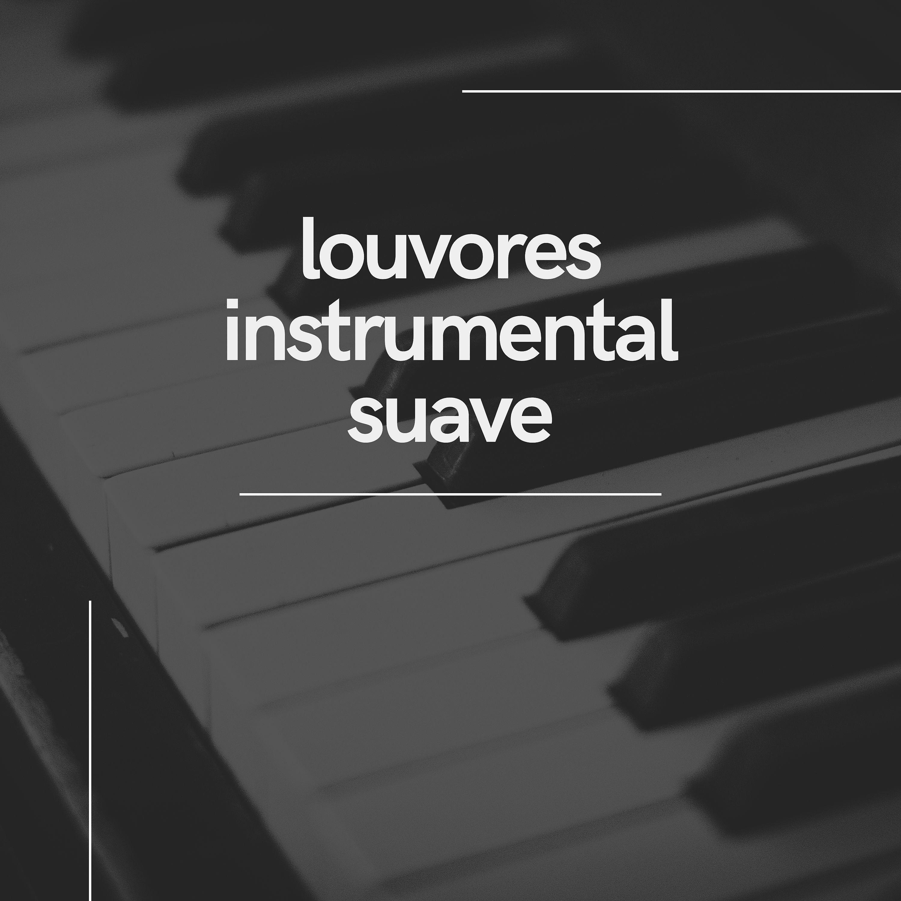 Постер альбома Louvores Instrumental Suave