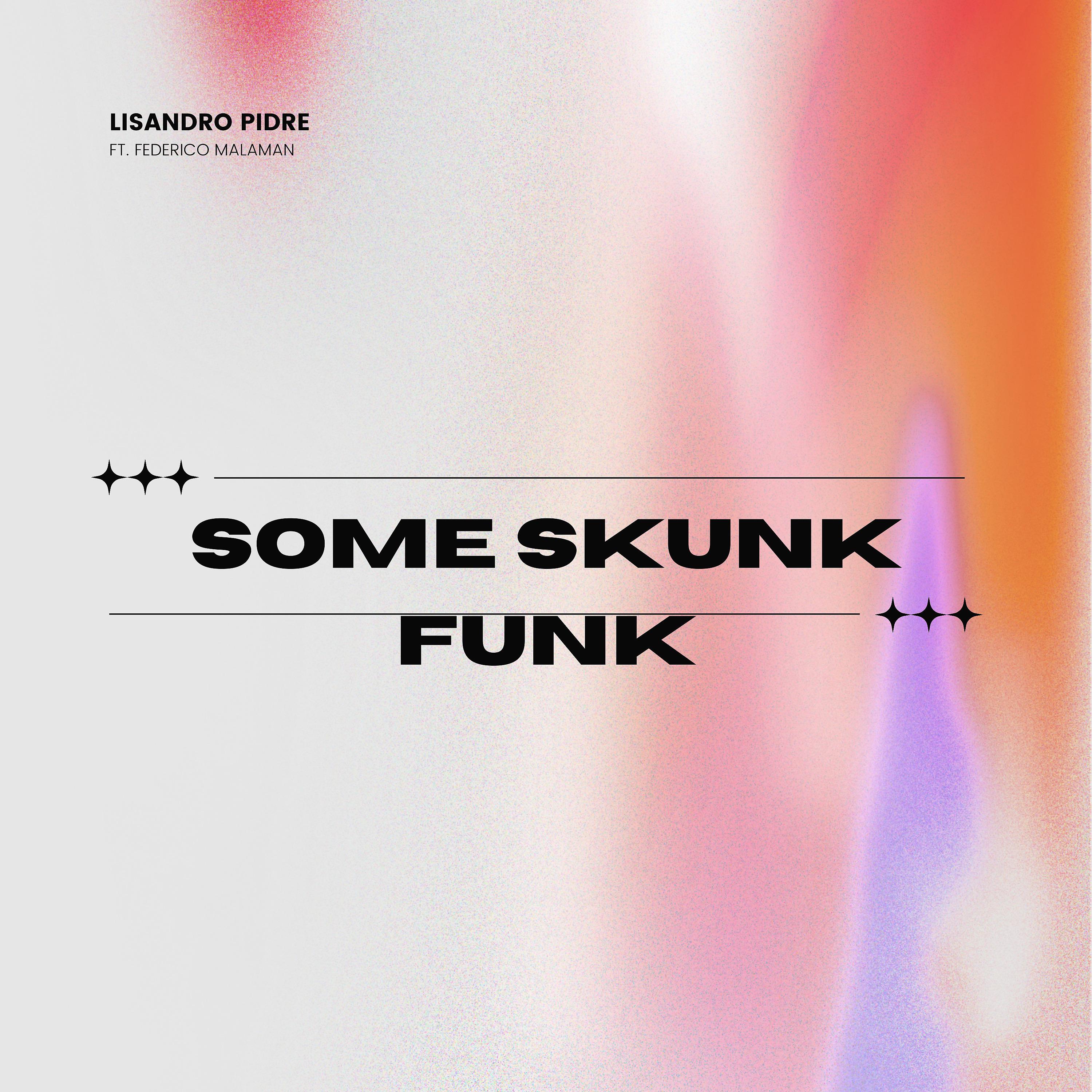 Постер альбома Some Skunk Funk