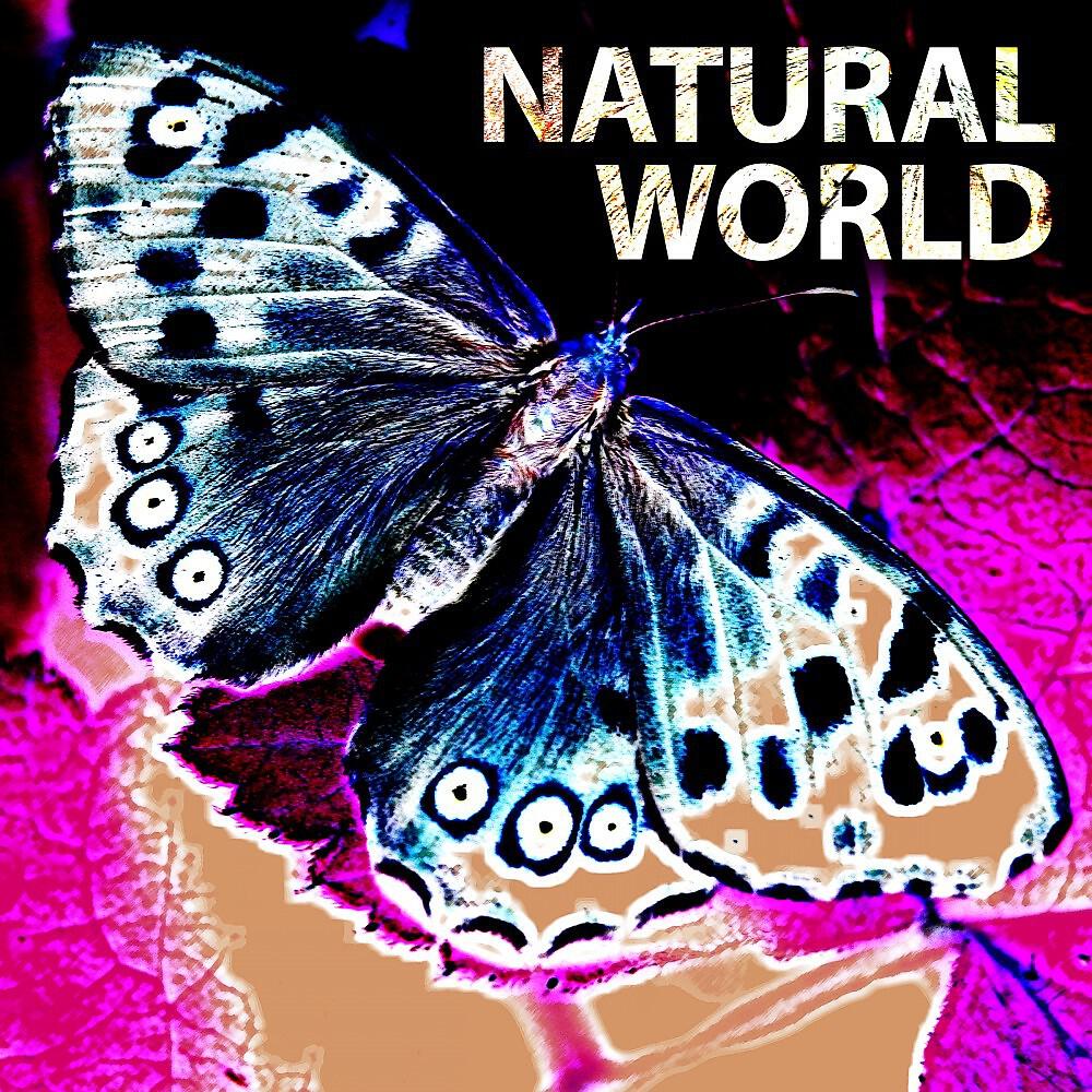 Adam Saunders - Environmental Forces