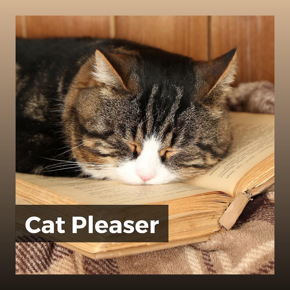 Music For Cats Peace - Ultimate Zen Music for Your Cat, Pt. 11