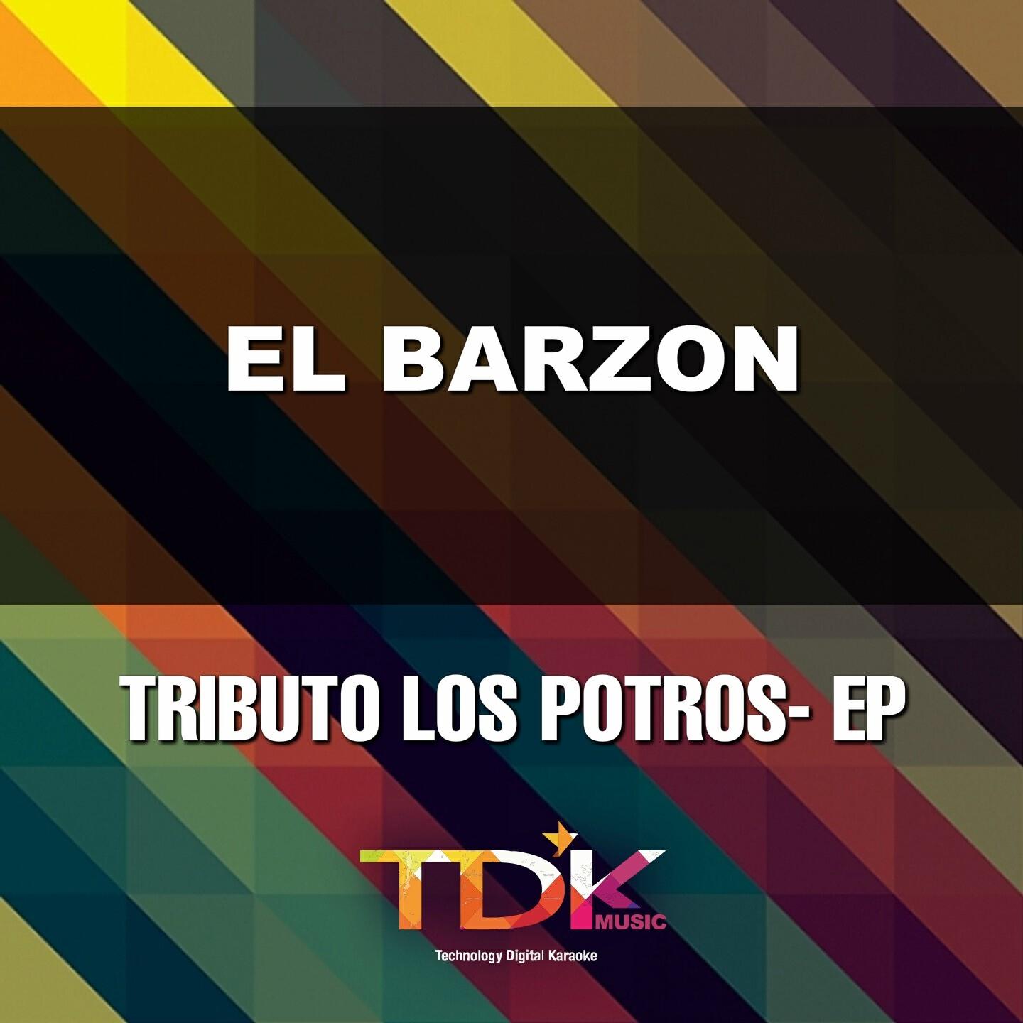 Tdk Music - El Barzon (Karaoke Version) [In The Style Of Los Potros]