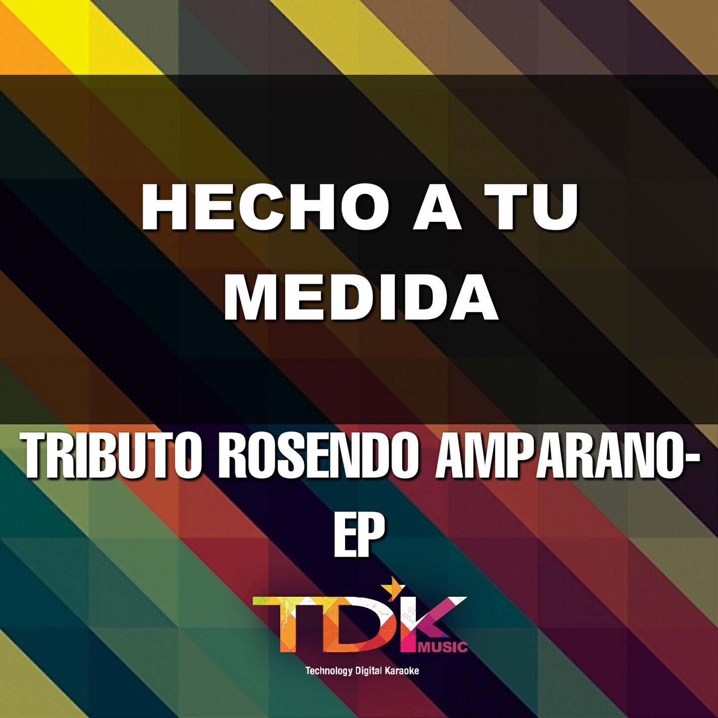Tdk Music - Hecho a Tu Medida (Karaoke Version) [In The Style Of Rosendo Amparano]