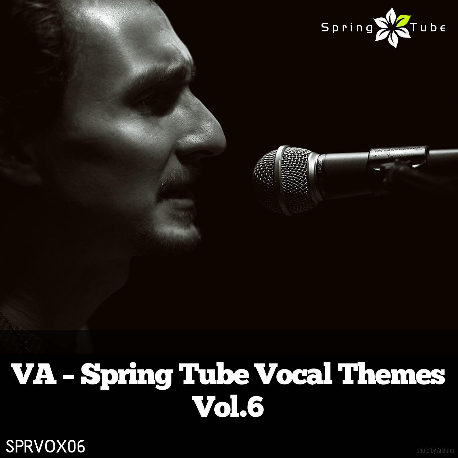 Постер альбома Spring Tube Vocal Themes, Vol. 6