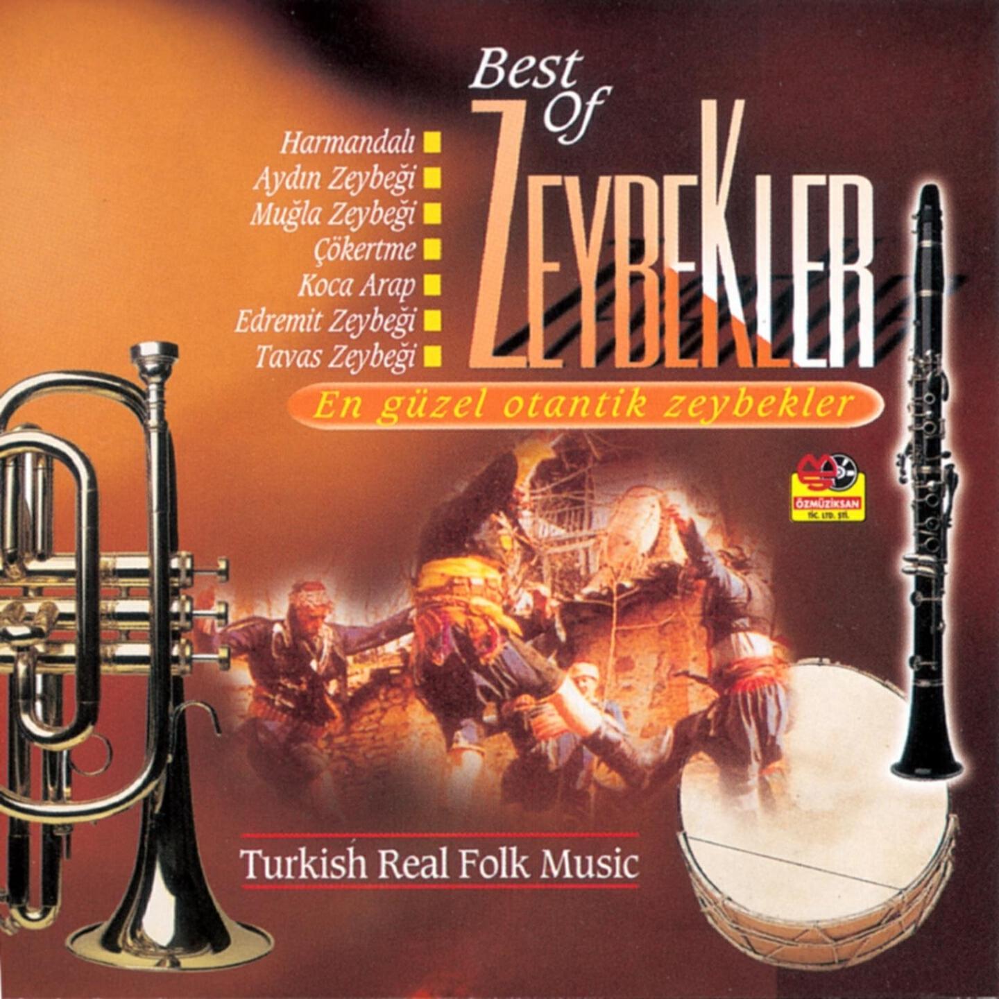 Mustafa Ergene - Bodrum Hakimi