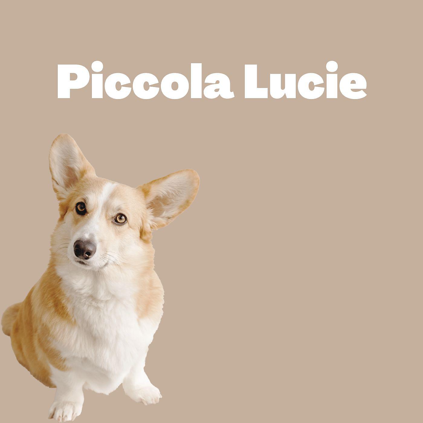 Постер альбома Piccola Lucie