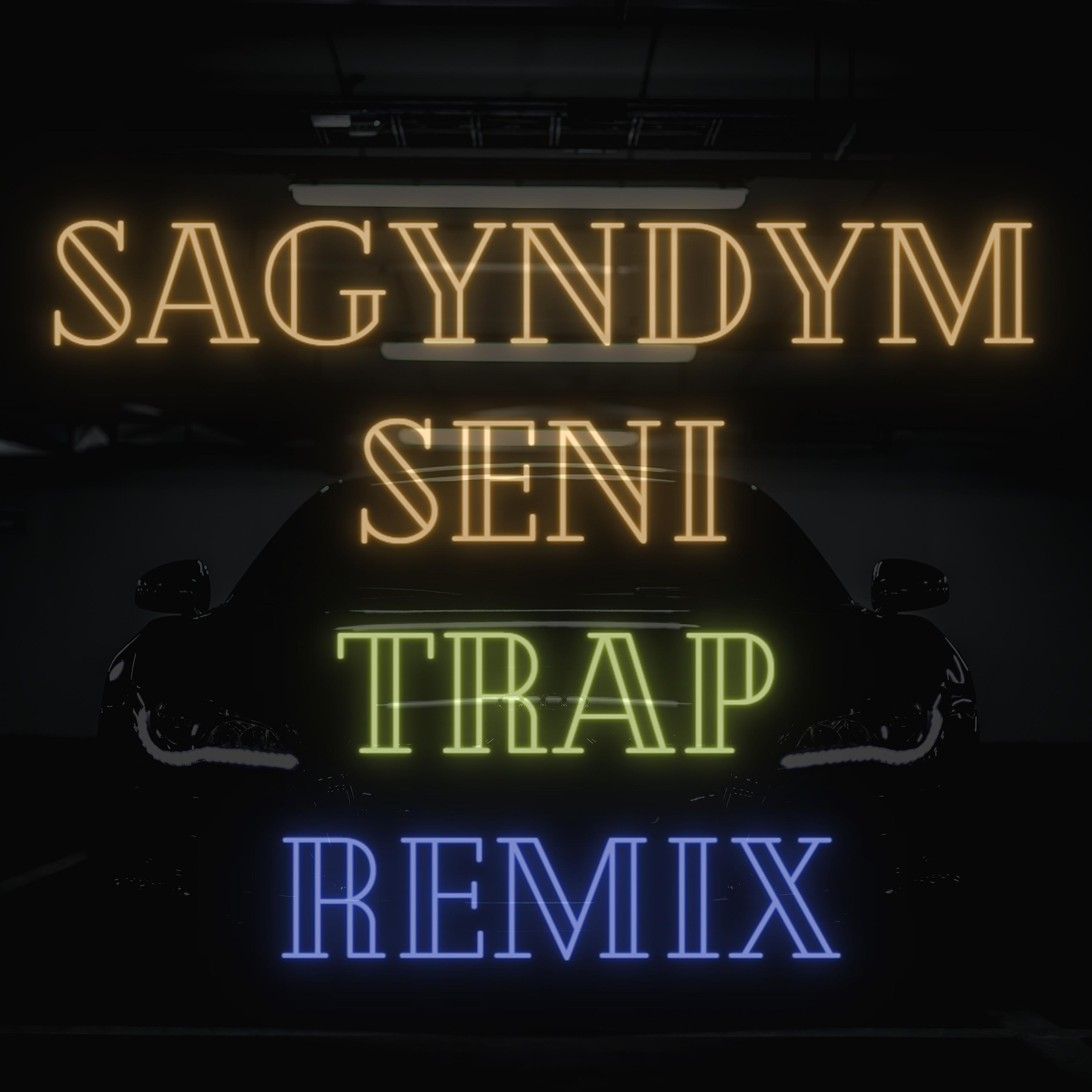 Постер альбома Sagyndym Seni (Trap Remix)