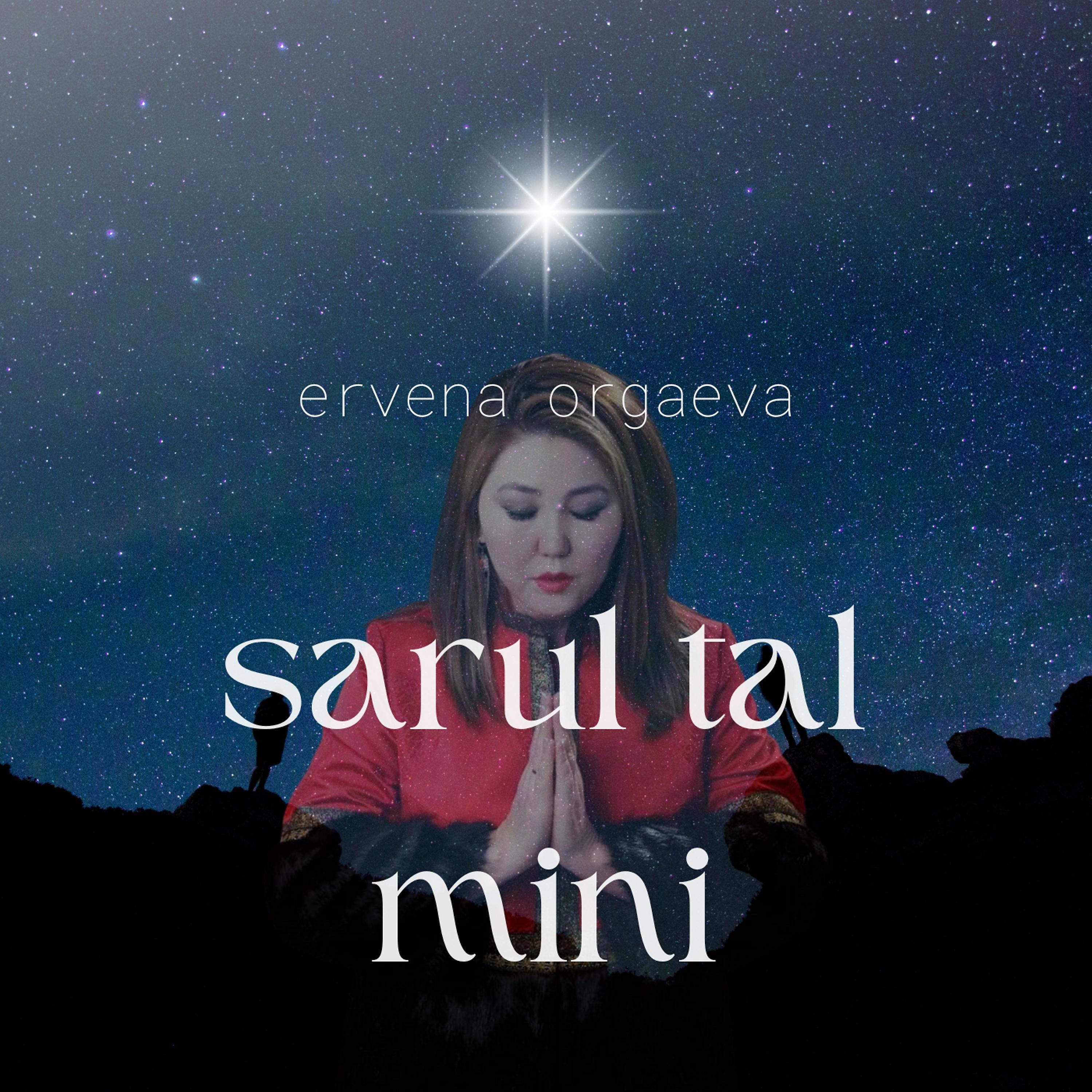 Постер альбома Sarul Tal Mini