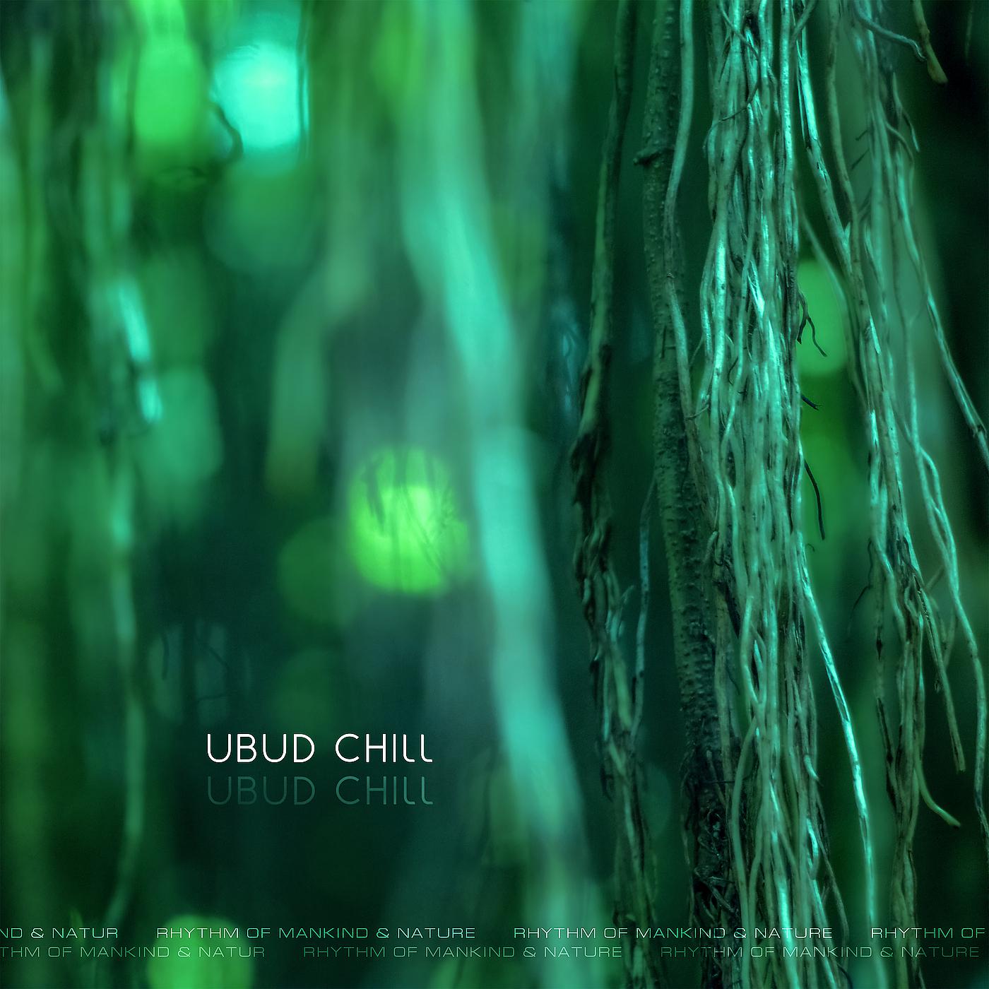 Постер альбома Ubud Chill