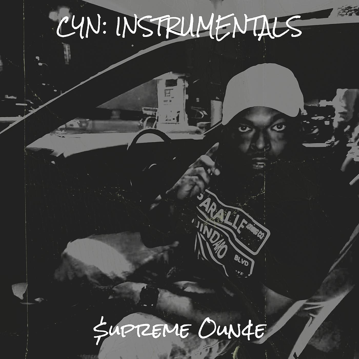 Постер альбома Cyn: Instrumentals