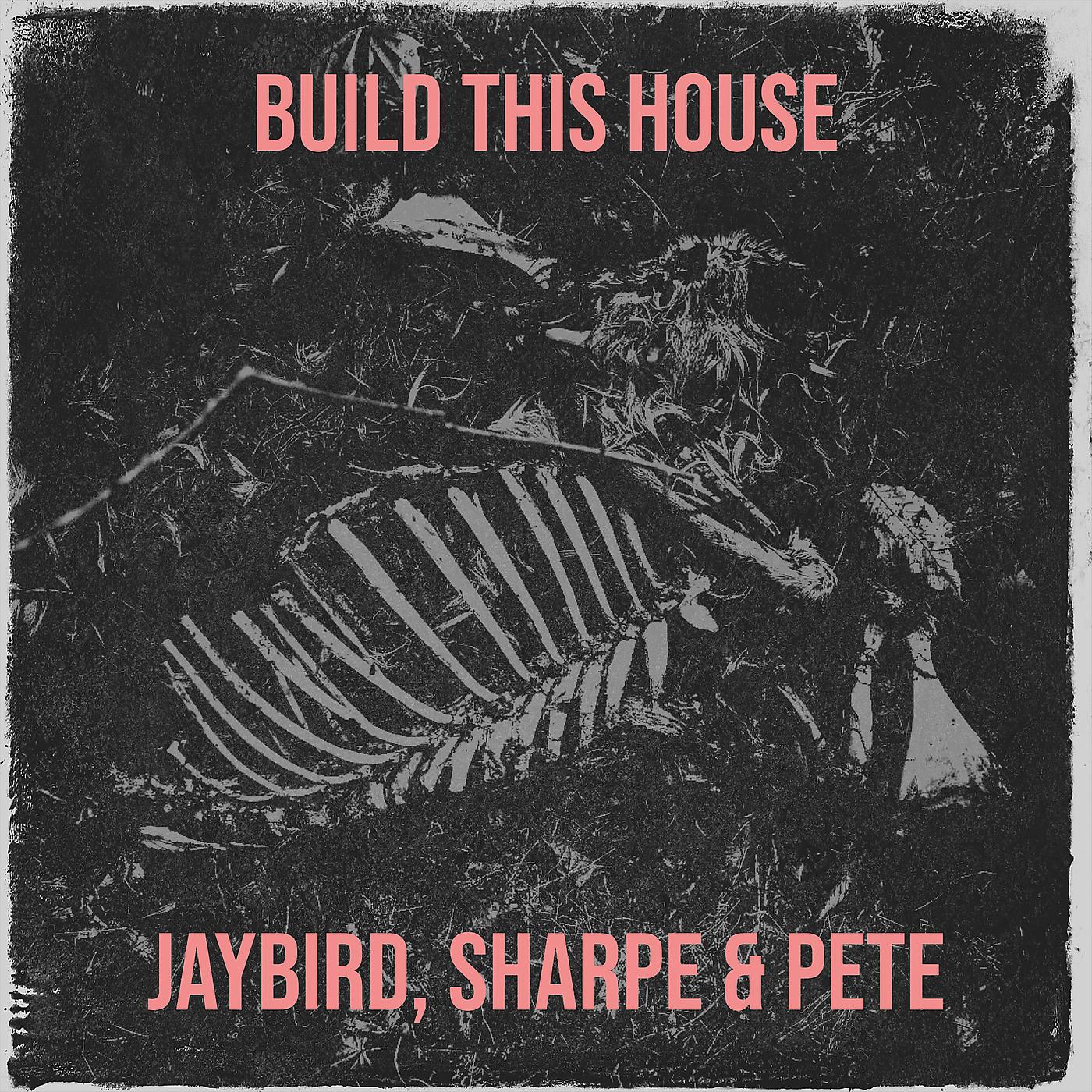 Постер альбома Build This House