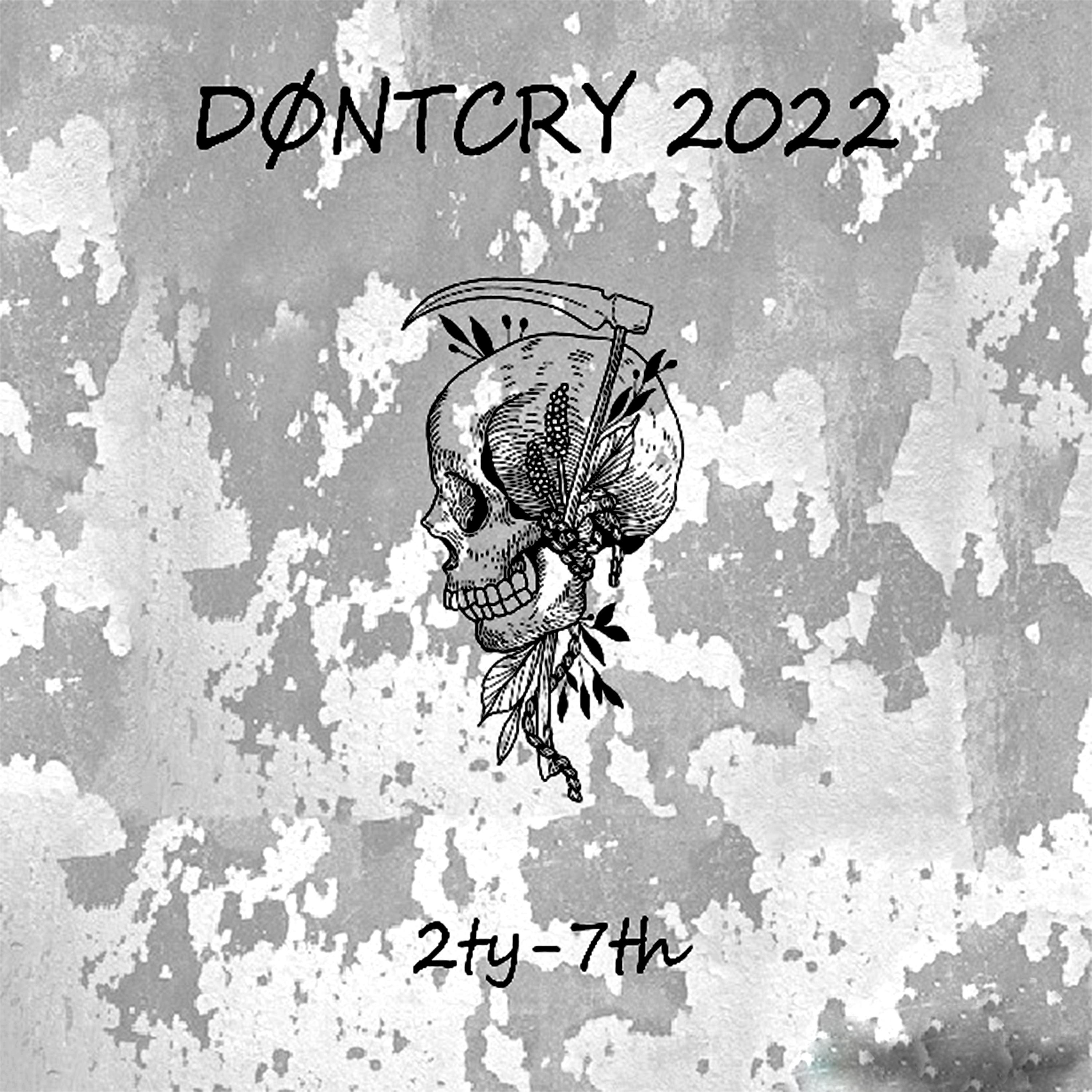 Постер альбома Døntcry (Radio Edit)