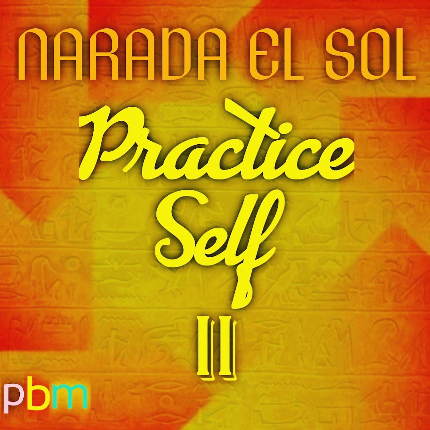 Постер альбома Practice Self II