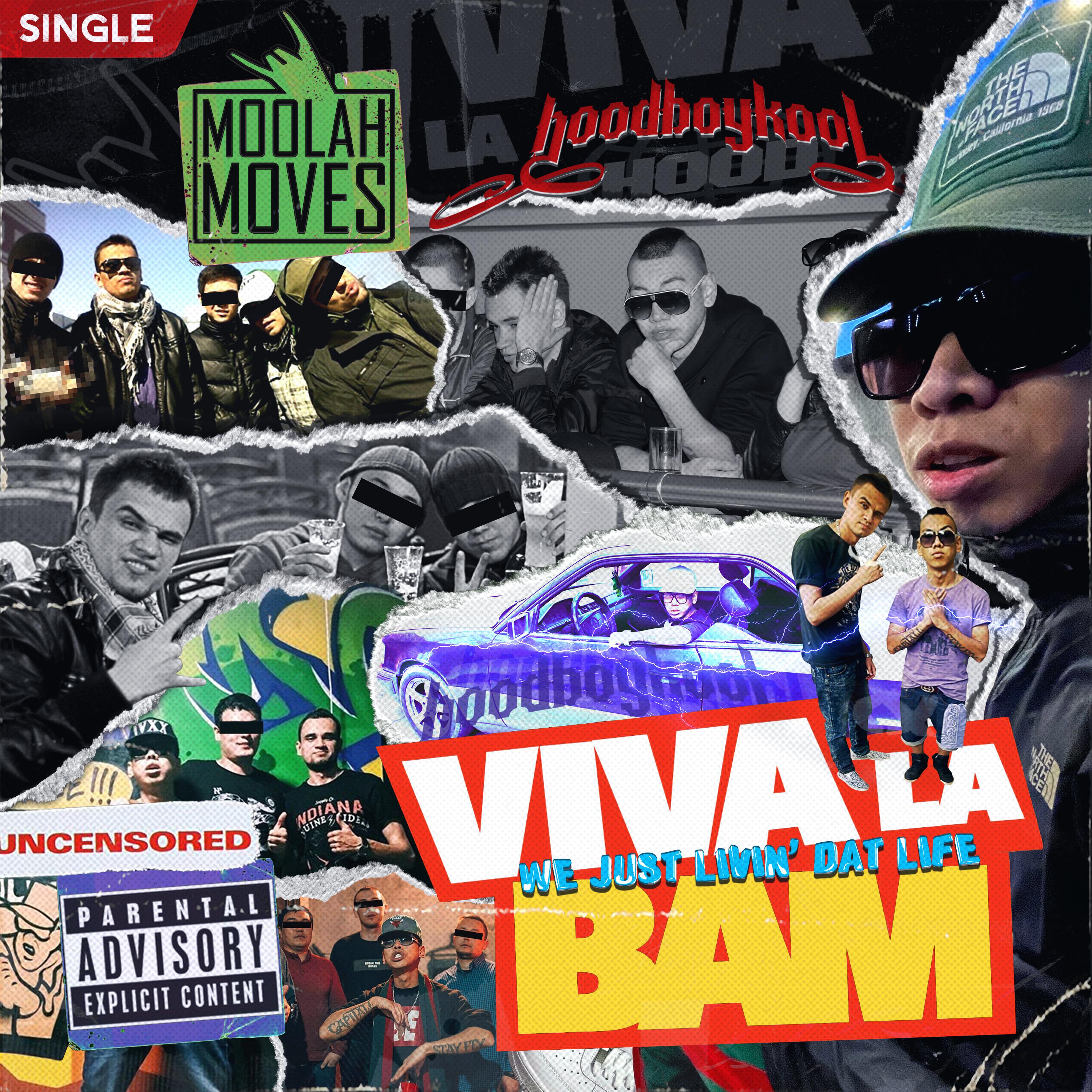 Постер альбома Viva la Bam