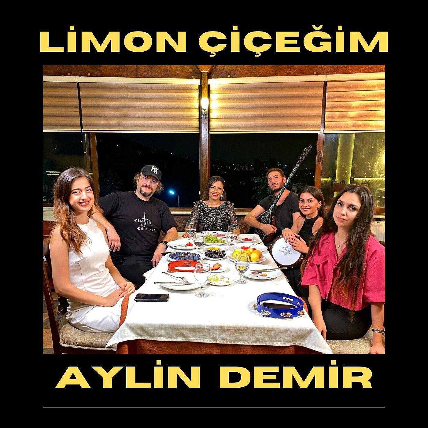 Постер альбома Limon Çiçeğim